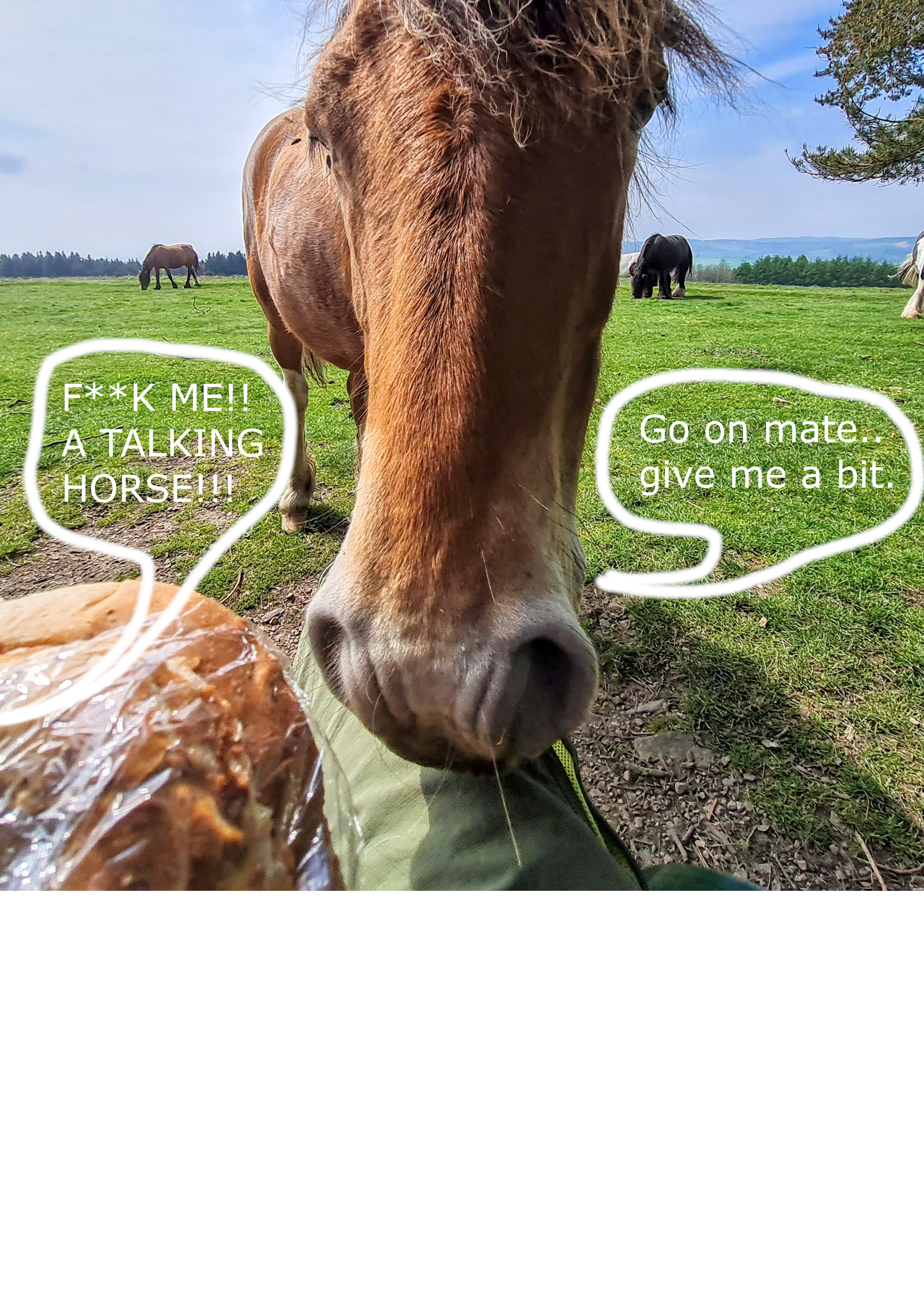 Hungry Horse.png