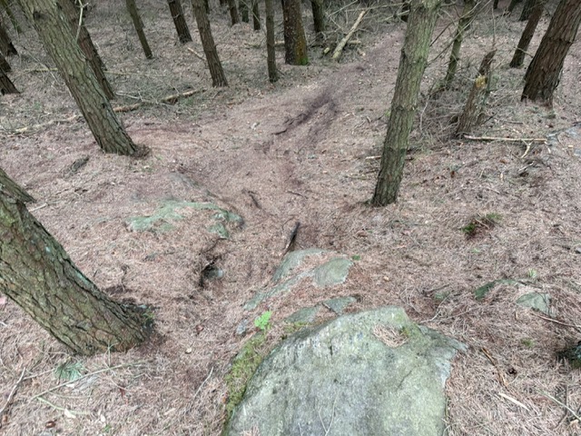 image1.jpeg