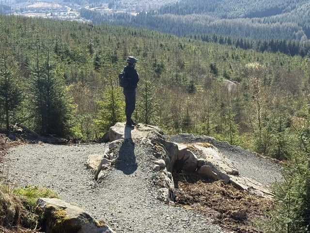 image11.jpeg