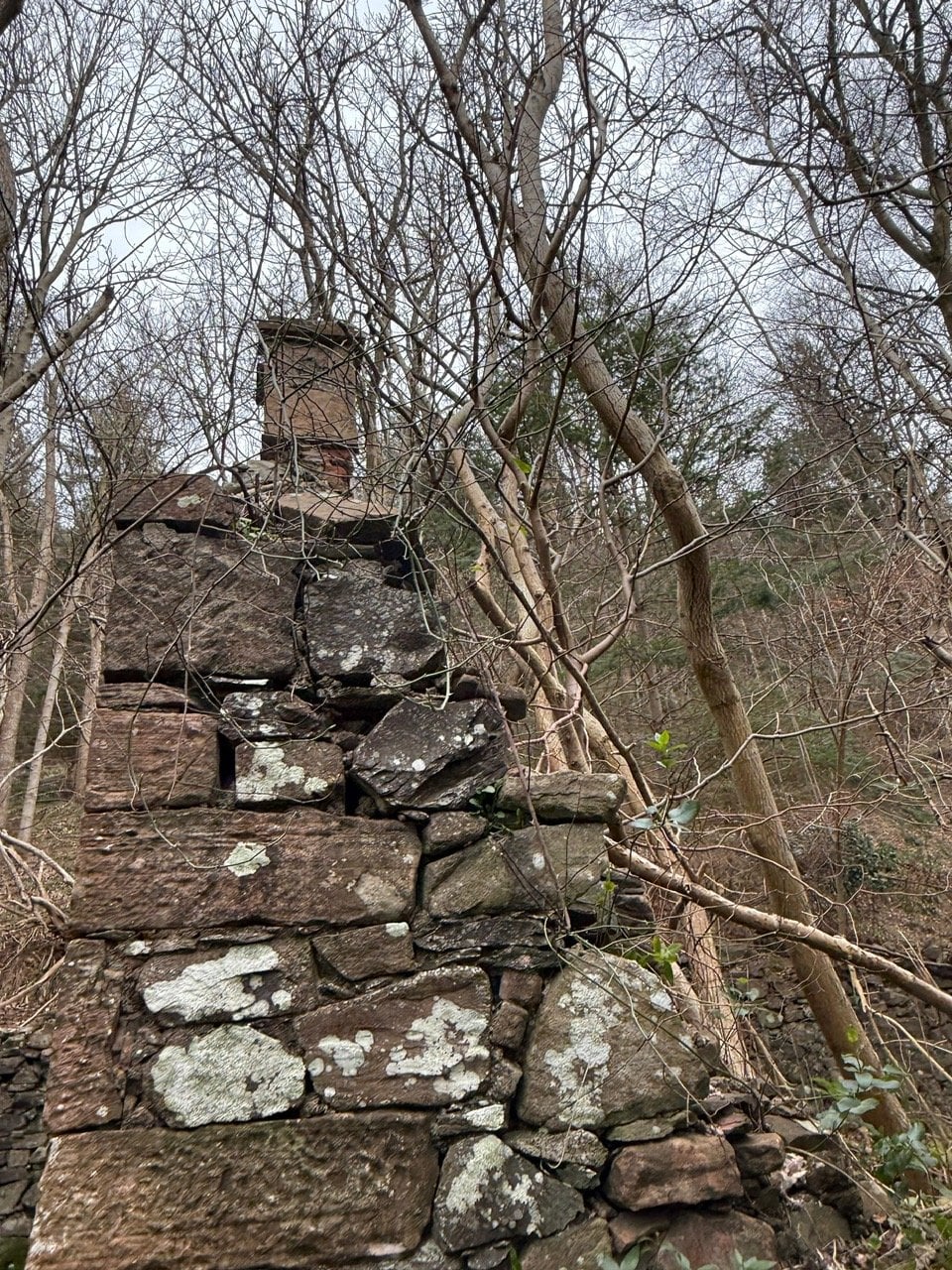 image6.jpeg