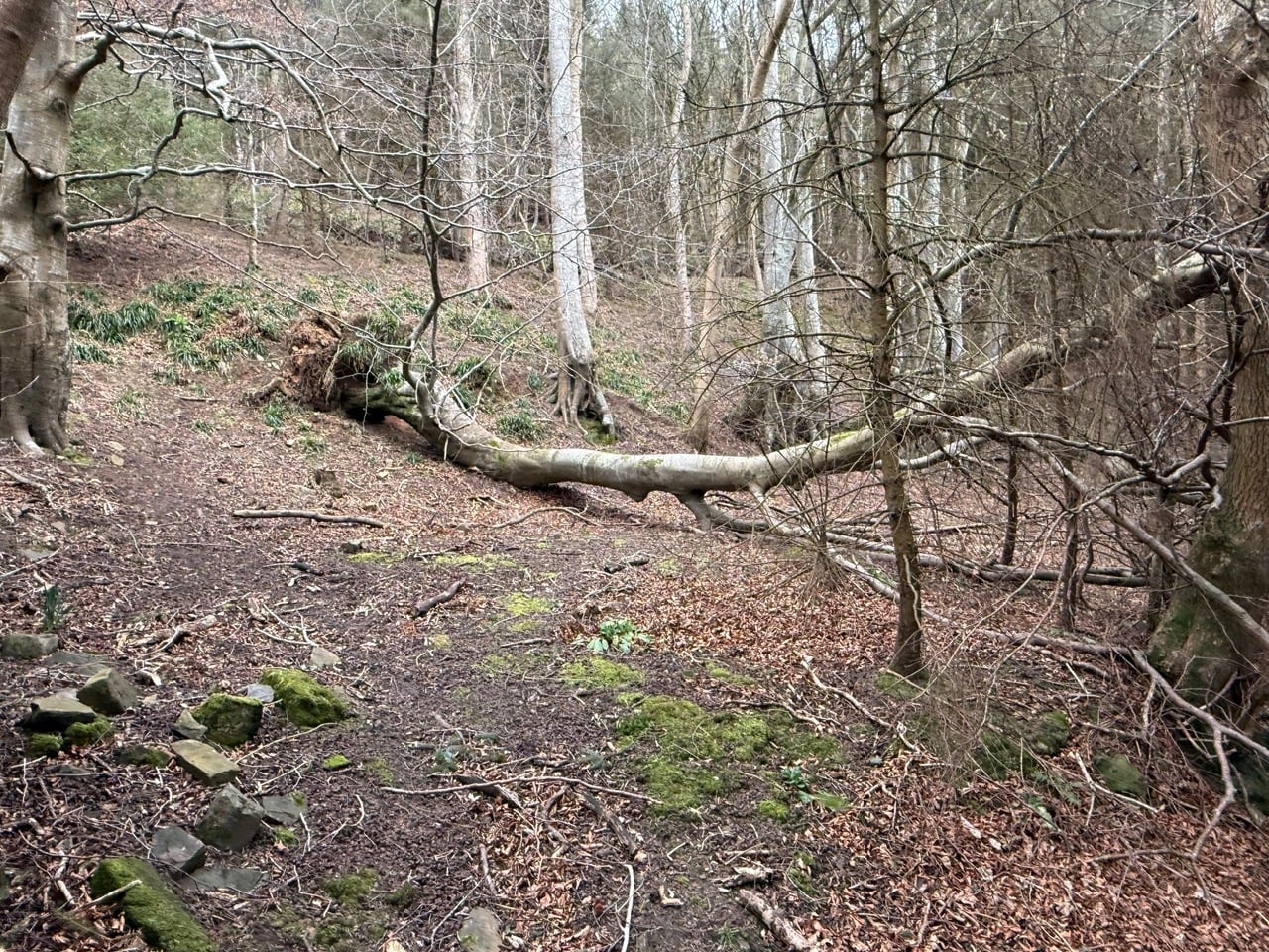 image7.jpeg