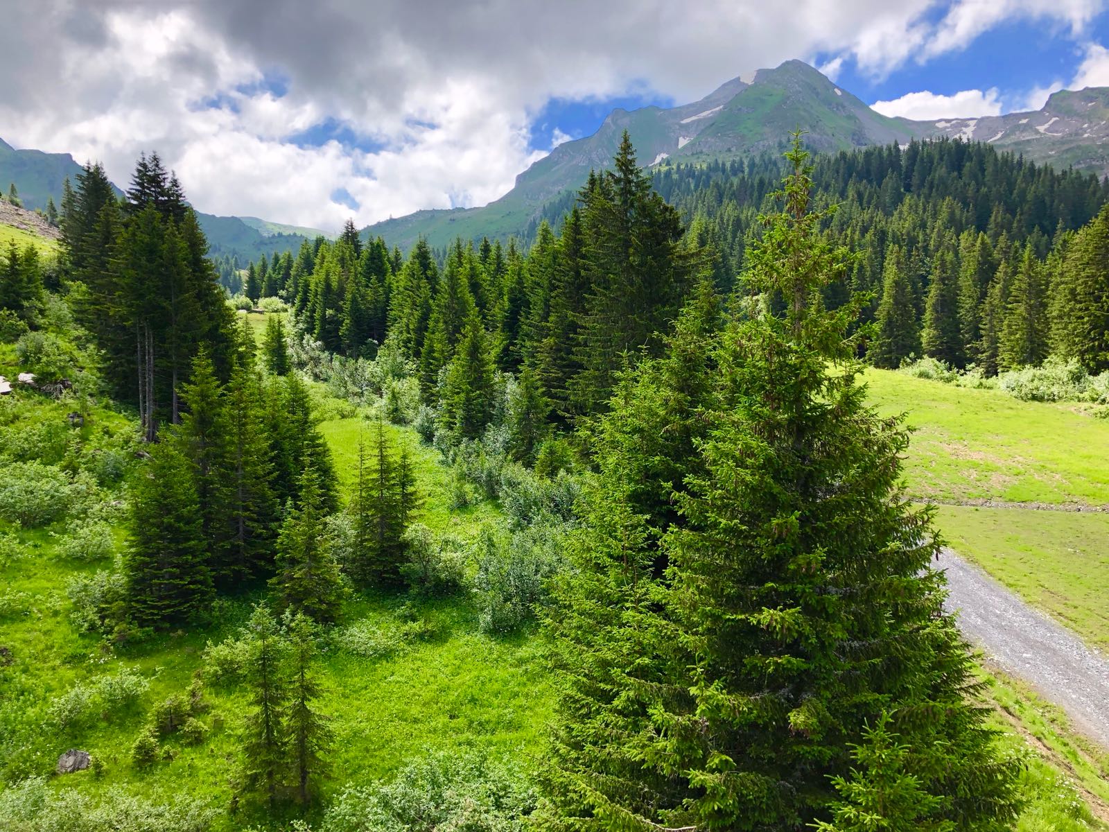 IMG-20180707-WA0005.jpg
