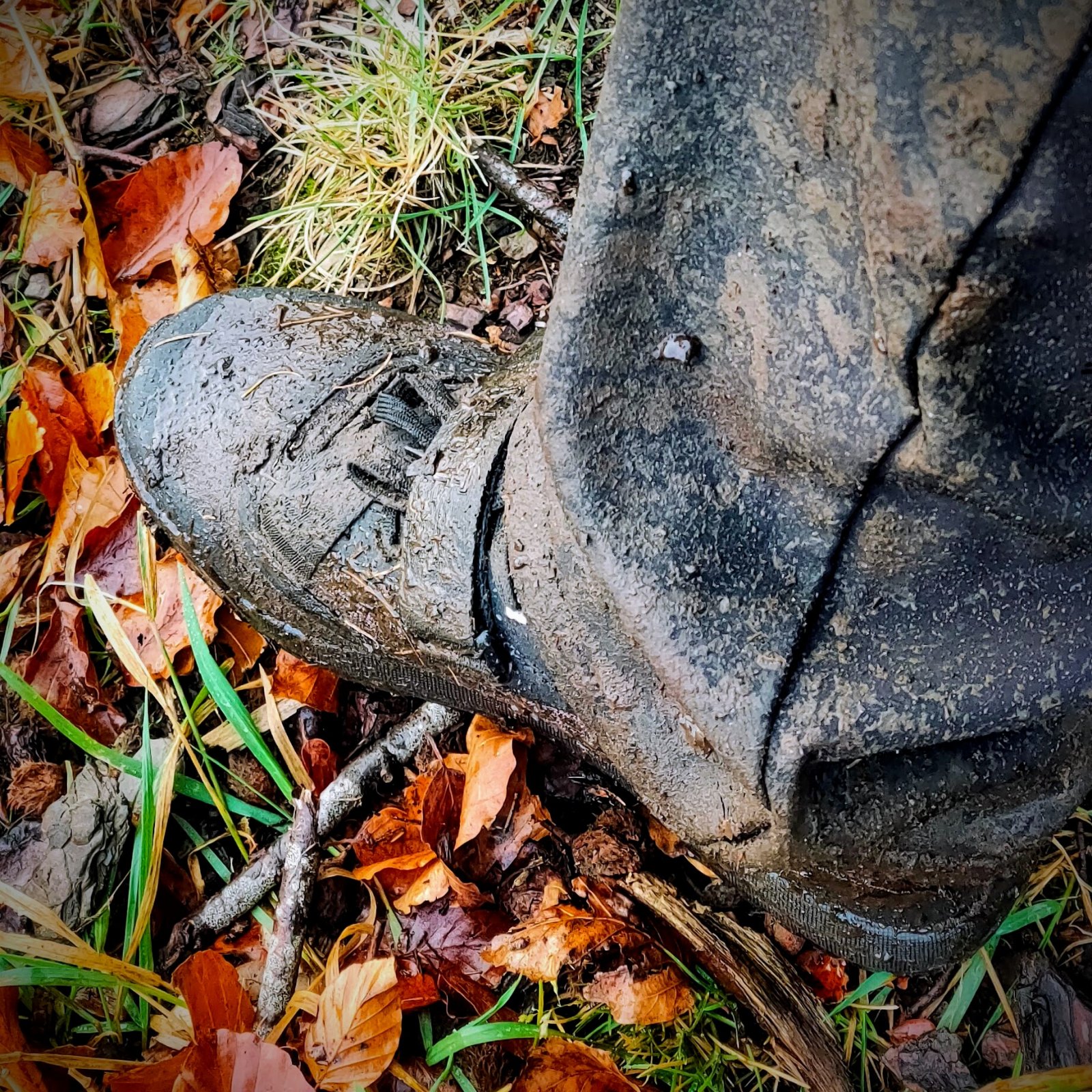 IMG20191111144556.jpg