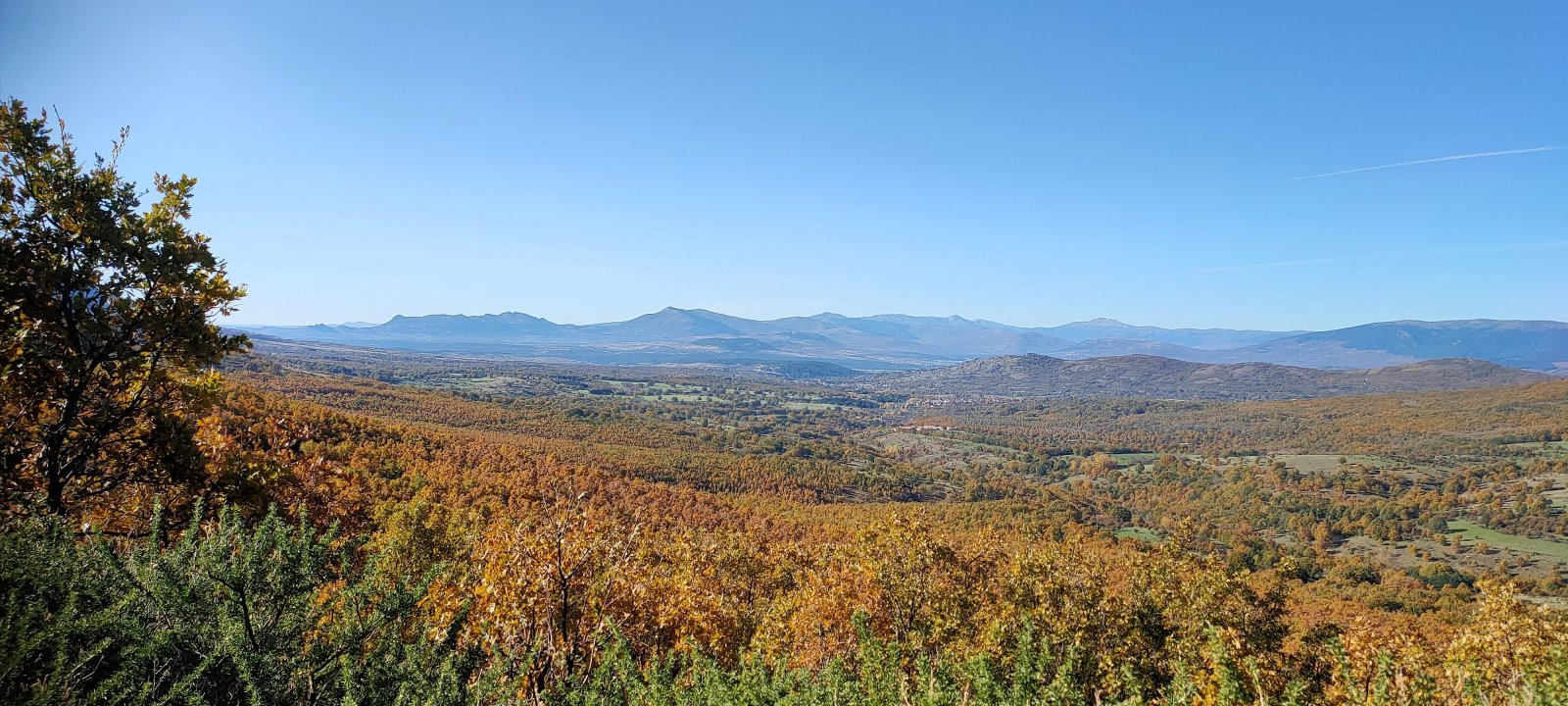 IMG20201031102625.jpg