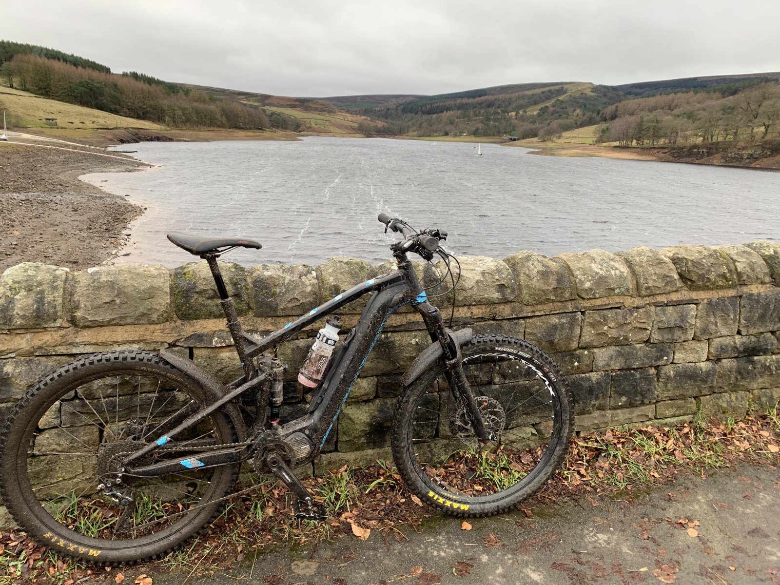 IMG_0185.jpg