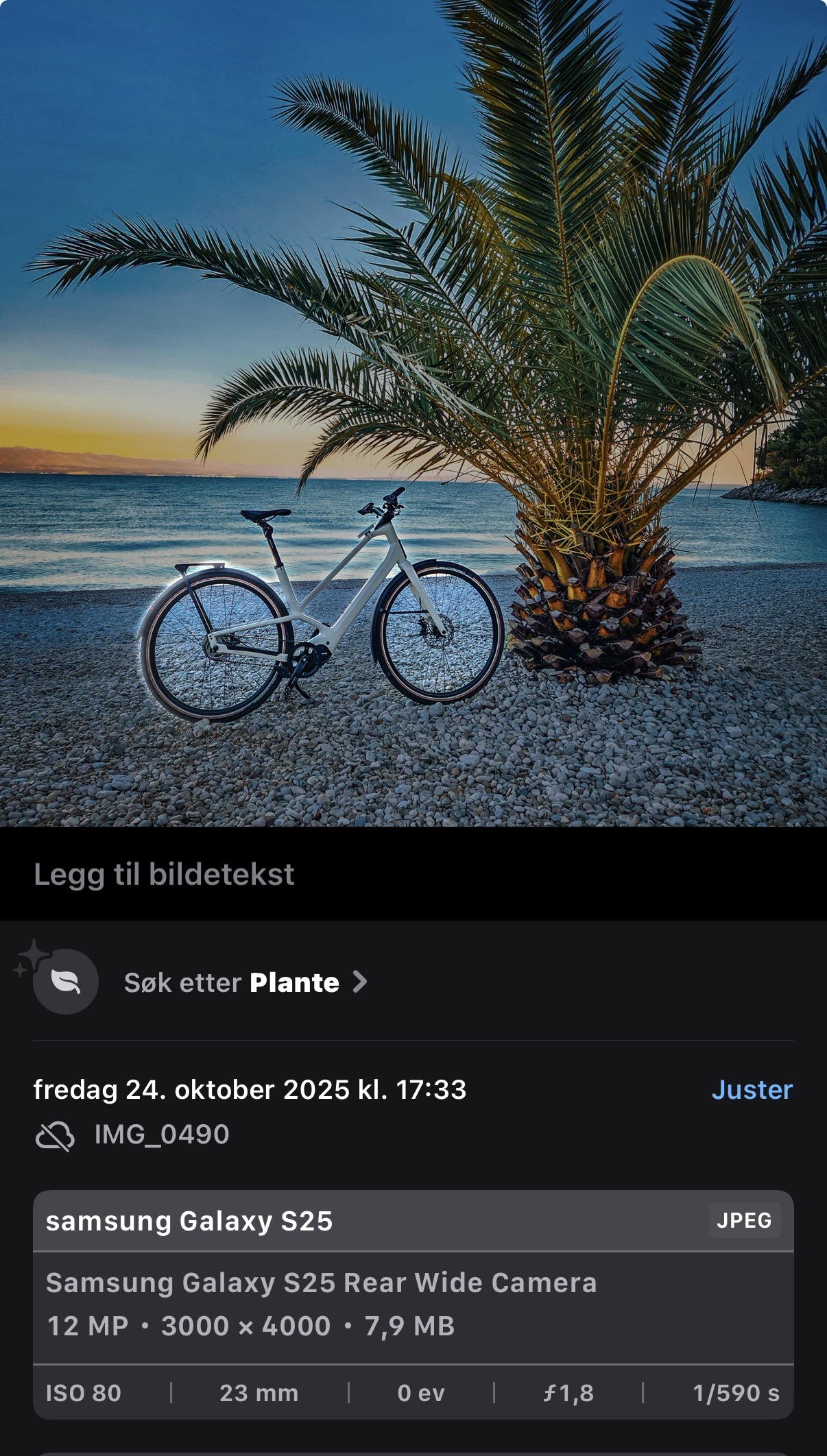 IMG_0493.jpeg