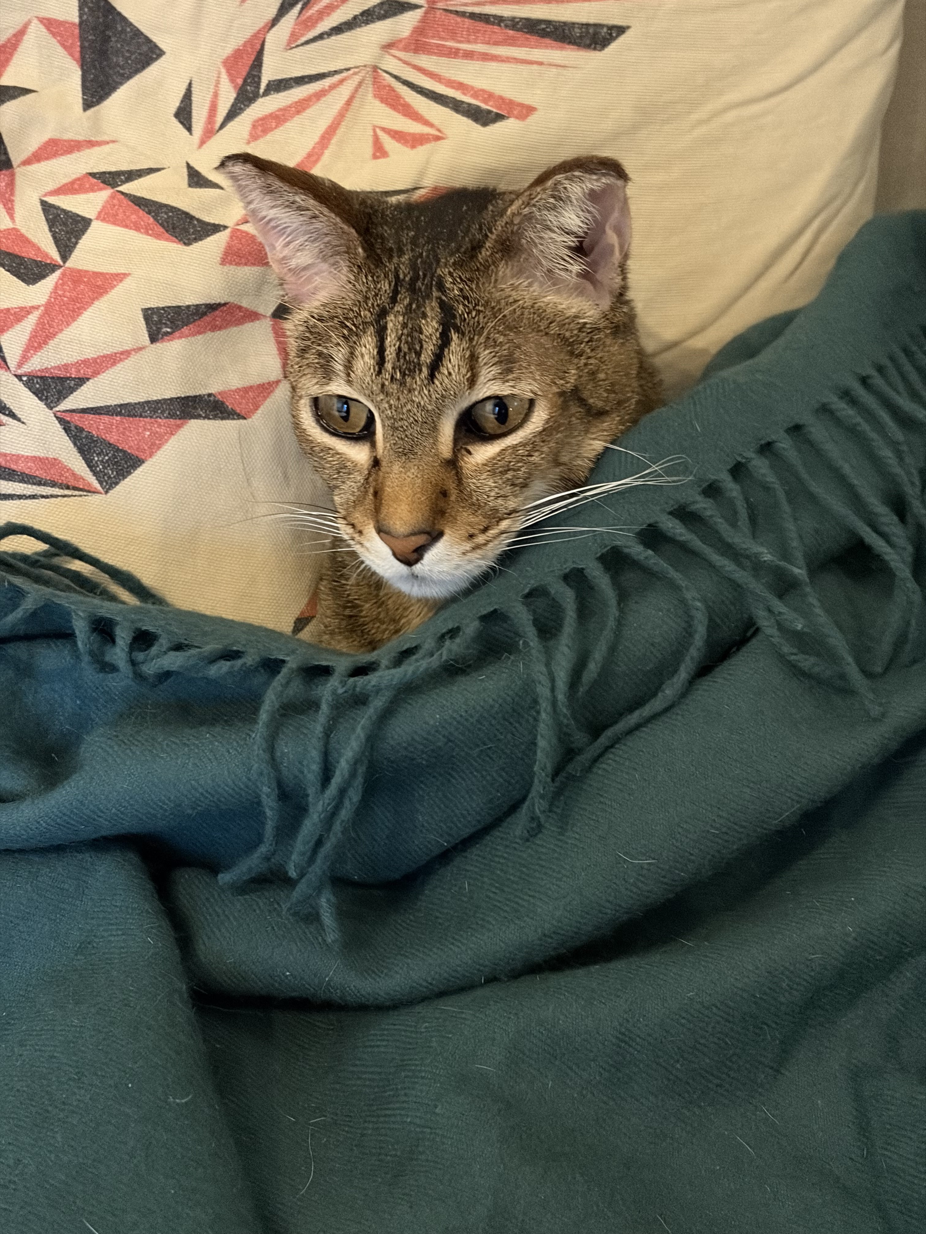 IMG_0692.jpeg
