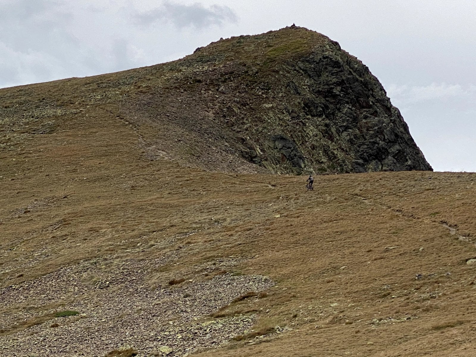 IMG_0895.jpg