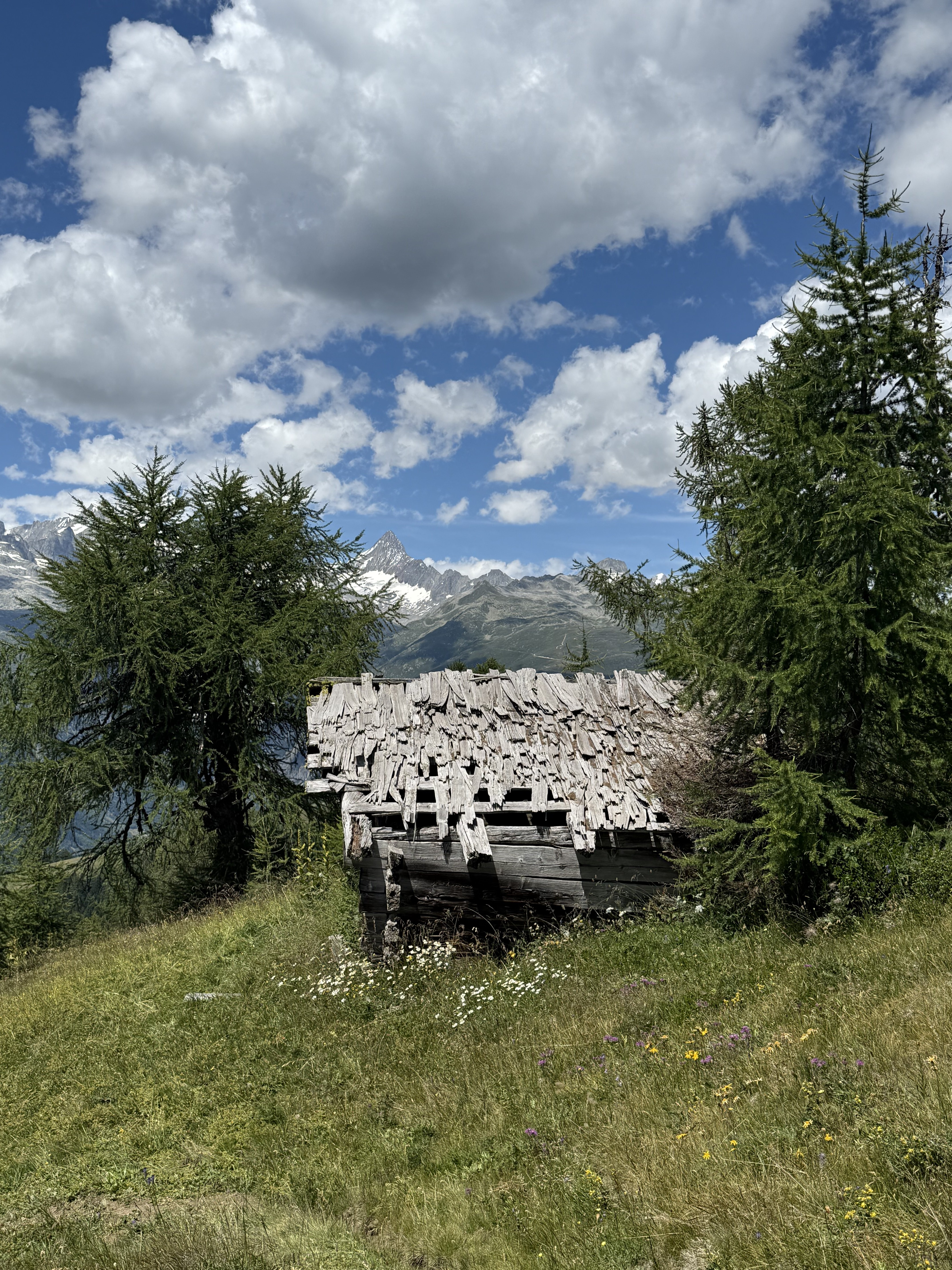 IMG_0934.jpeg