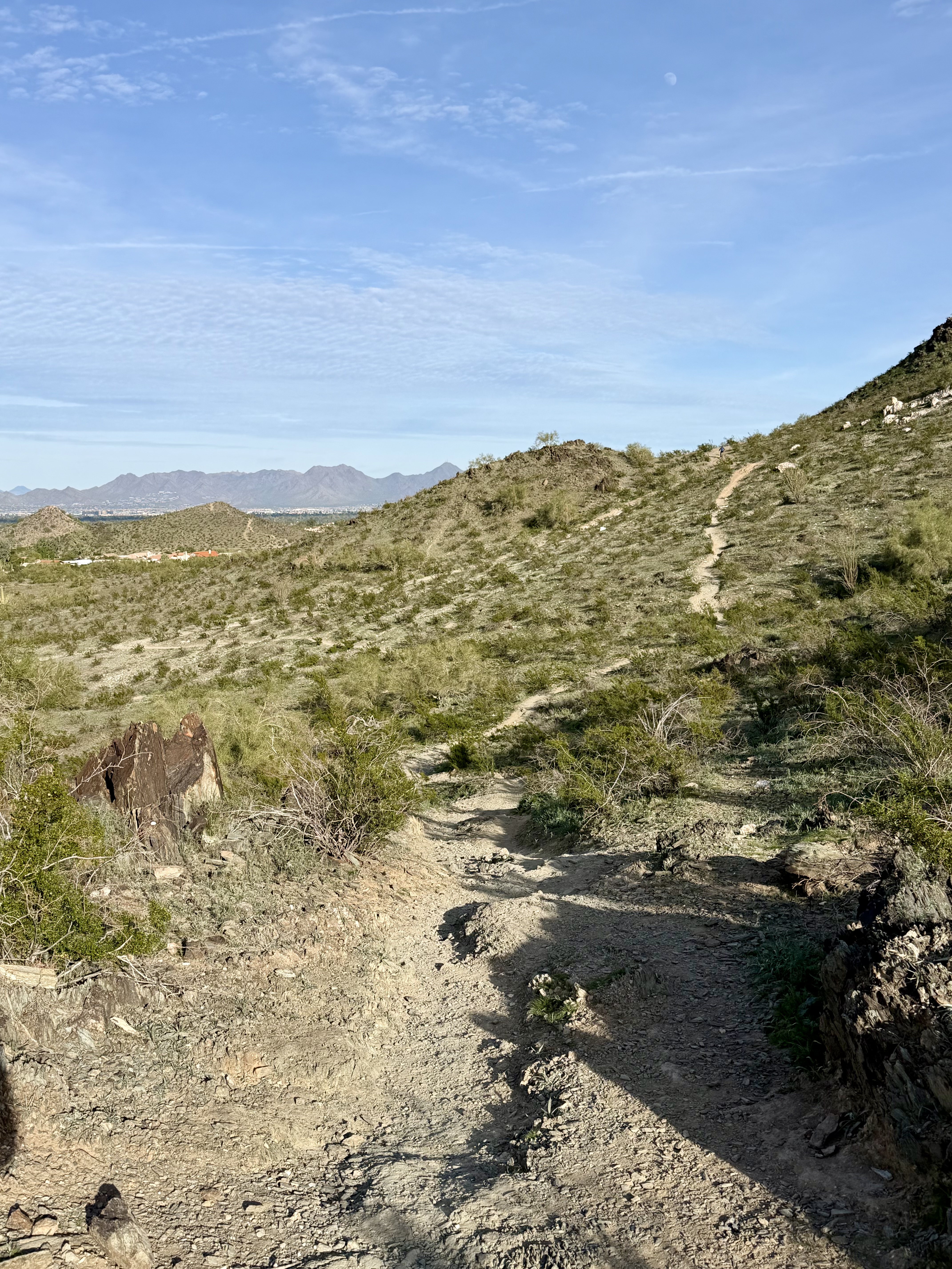 IMG_1367.jpeg