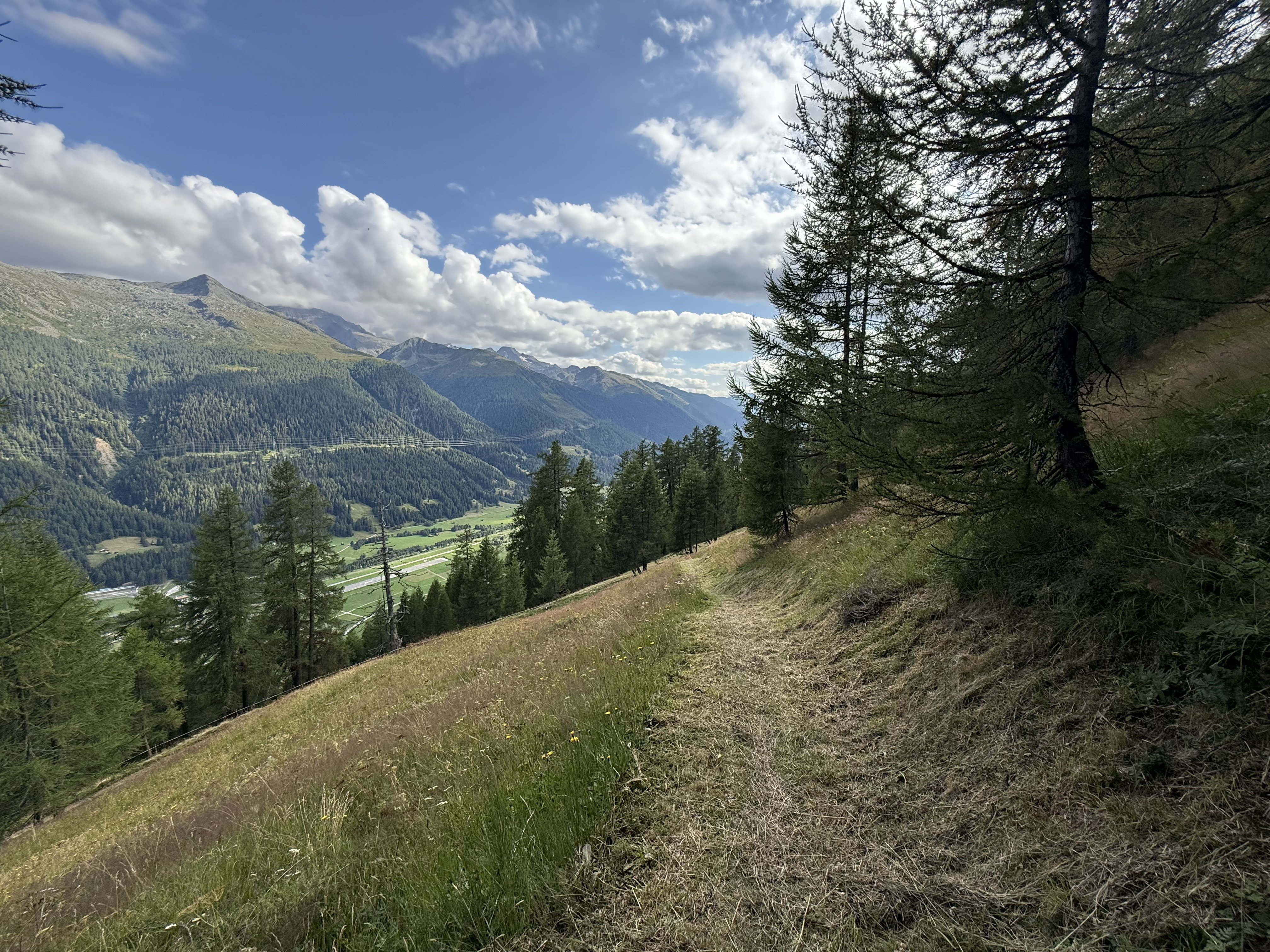 IMG_1399.jpeg