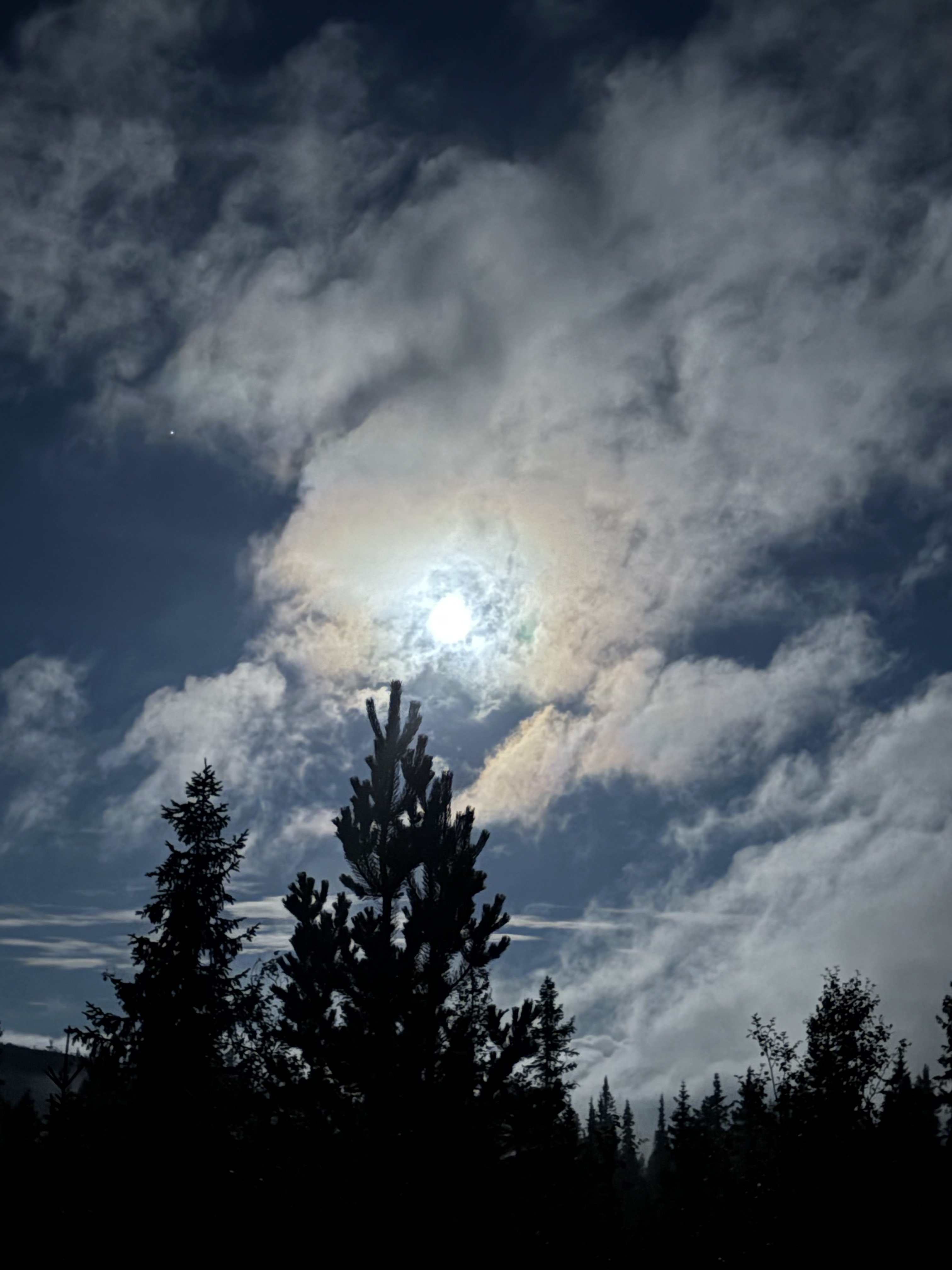 IMG_1721.jpeg