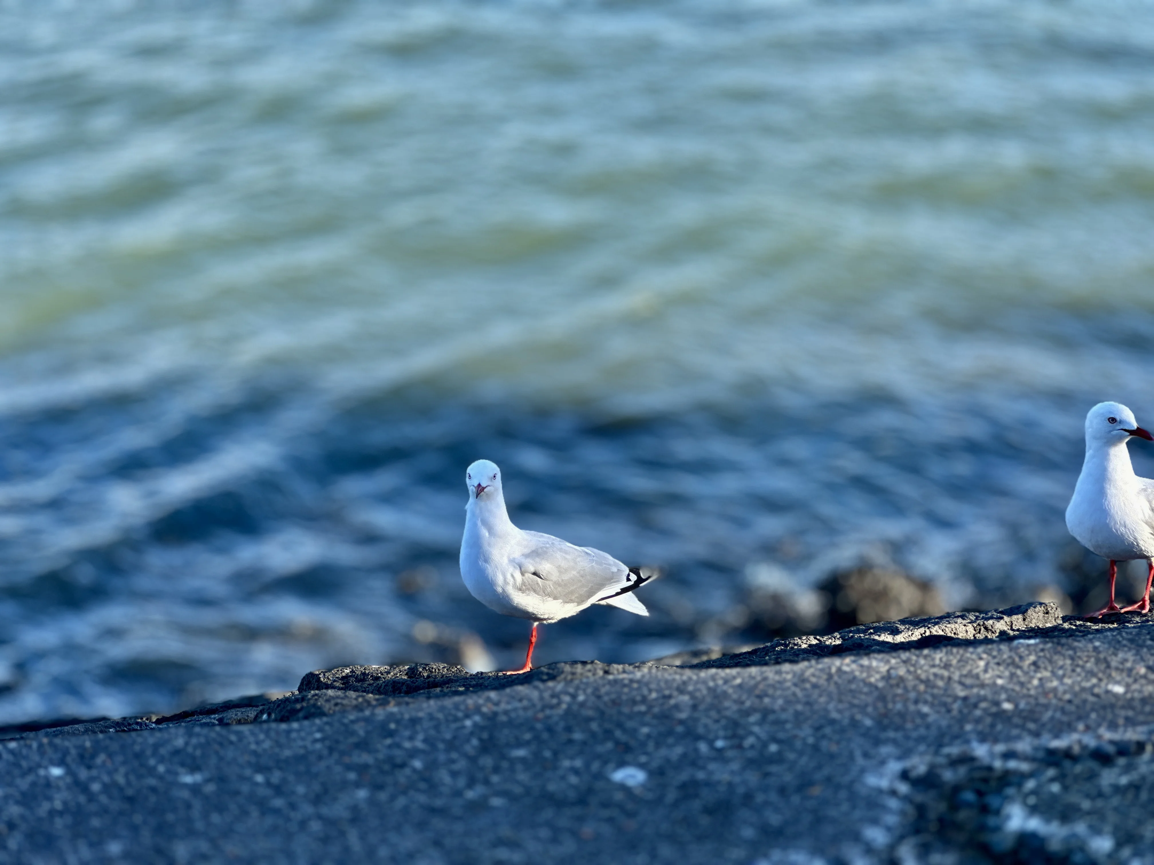 IMG_1866.webp