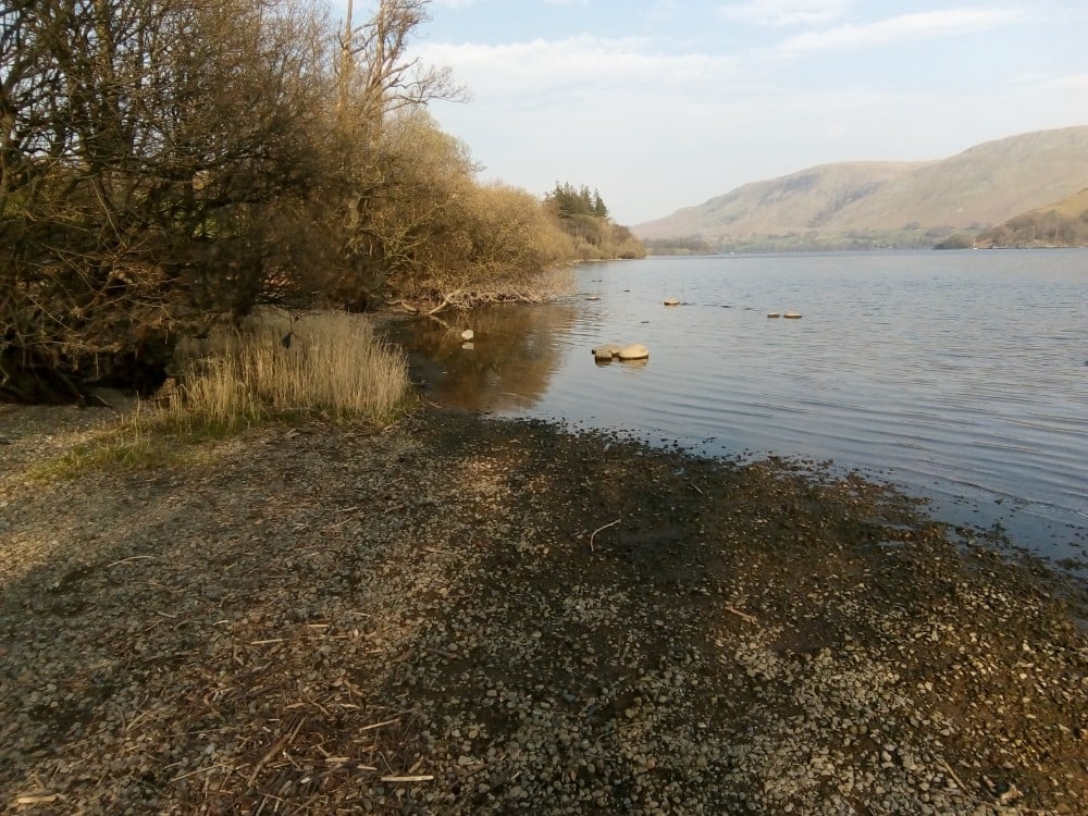 IMG_20190407_170121 - Edited.jpg