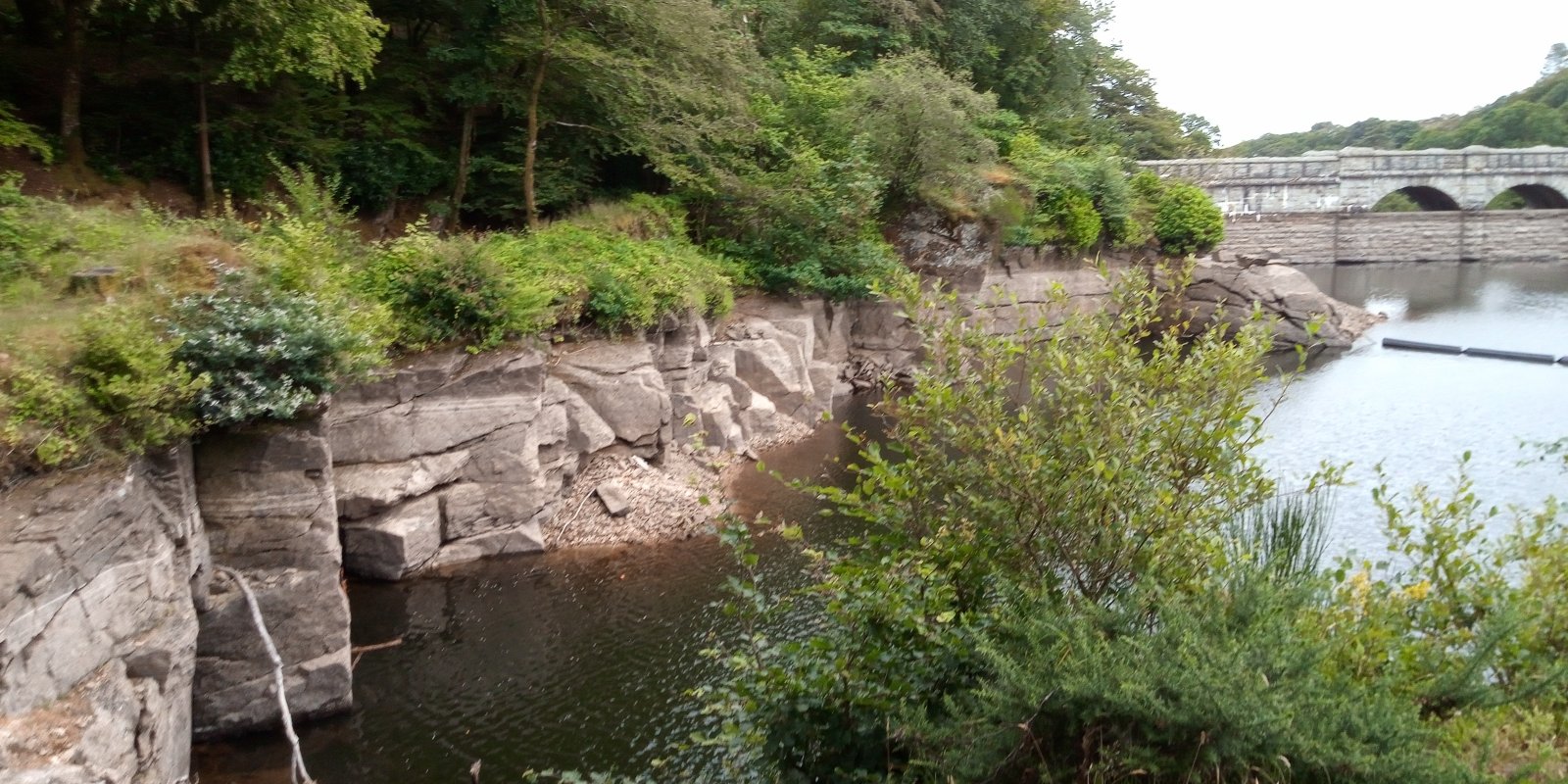 IMG_20190806_095804.jpg