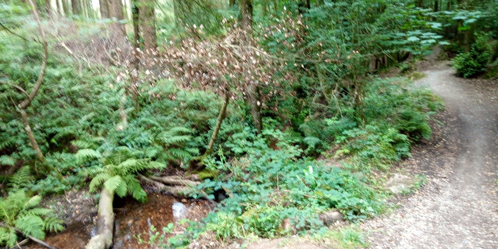IMG_20190808_091029.jpg
