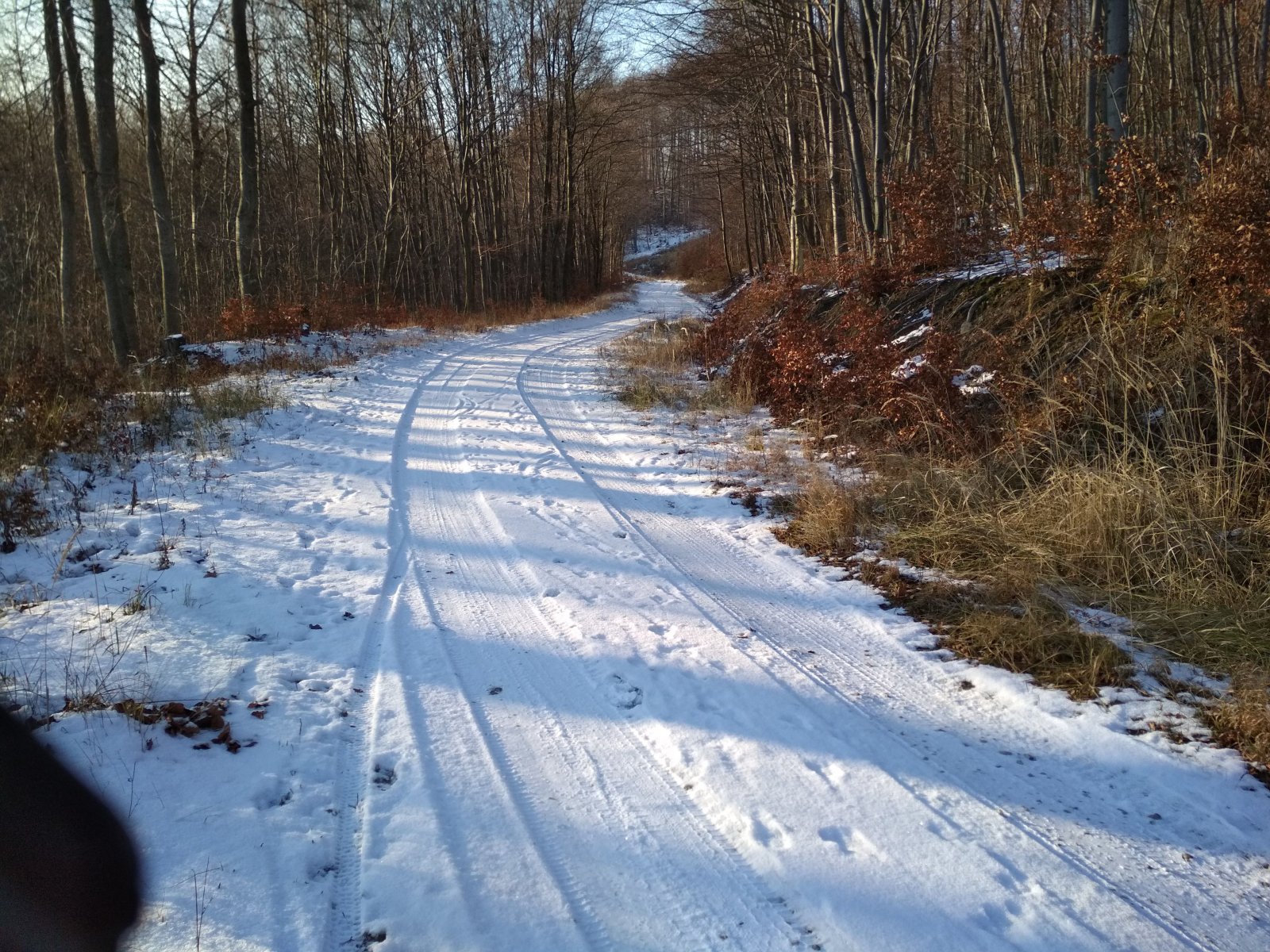IMG_20191205_140452.jpg