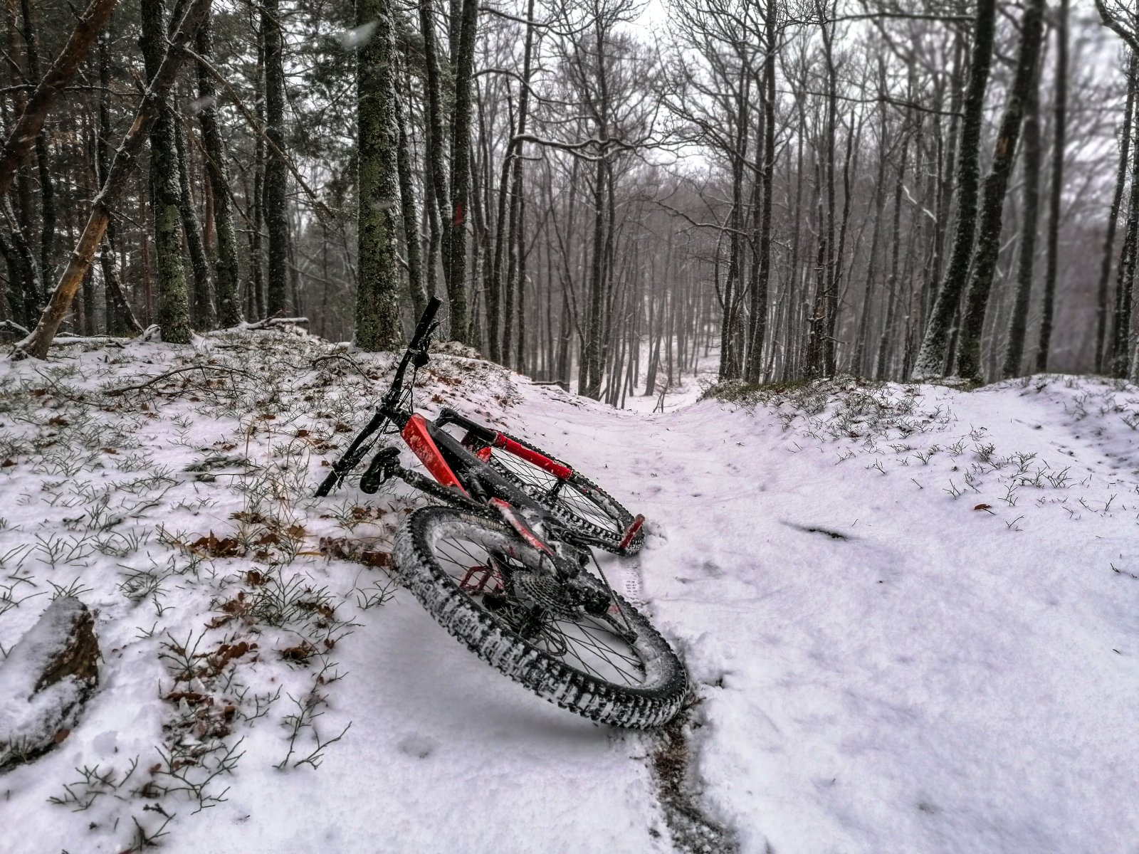 IMG_20191228_150633.JPG