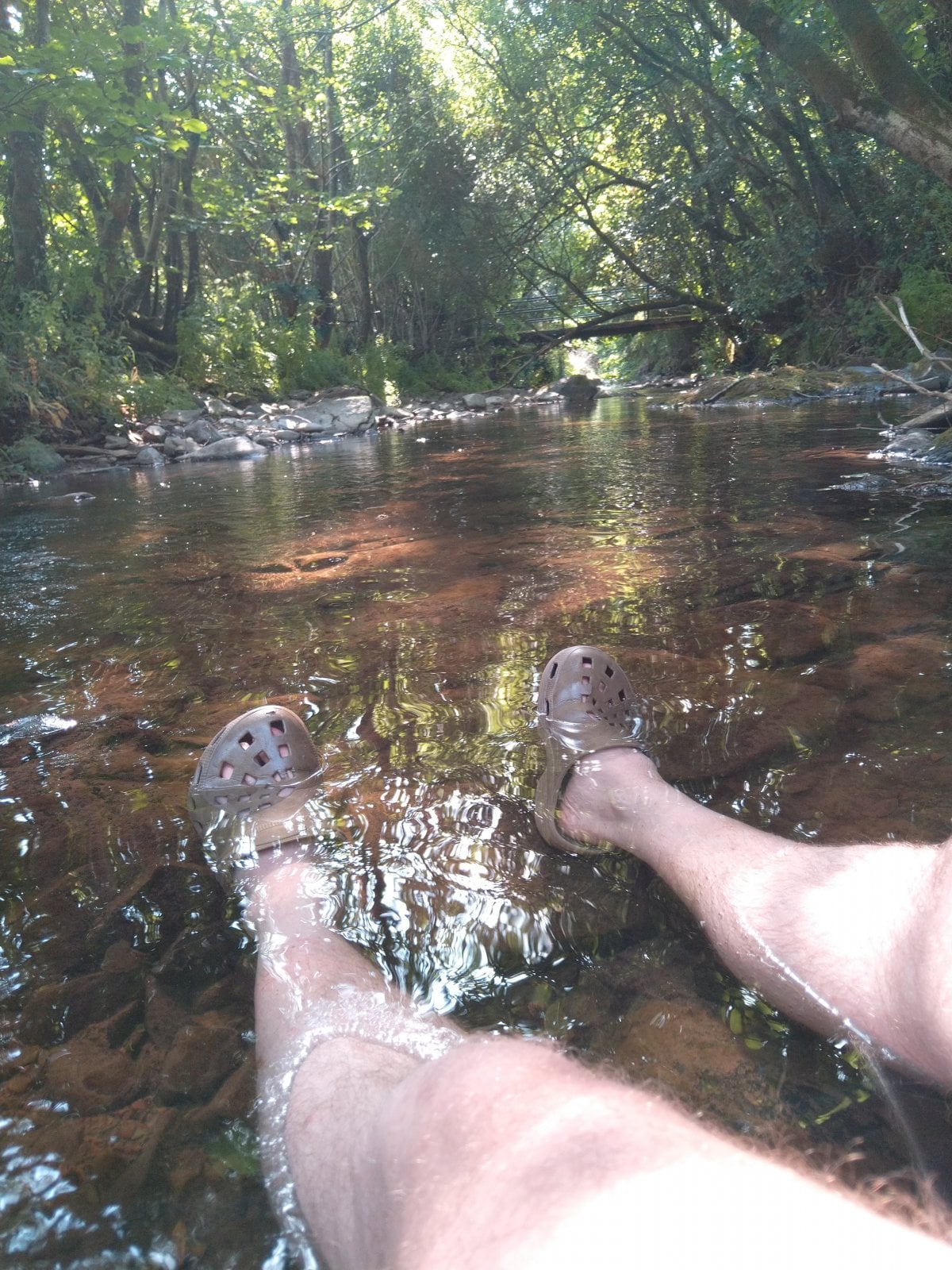 IMG_20220718_163019.jpg