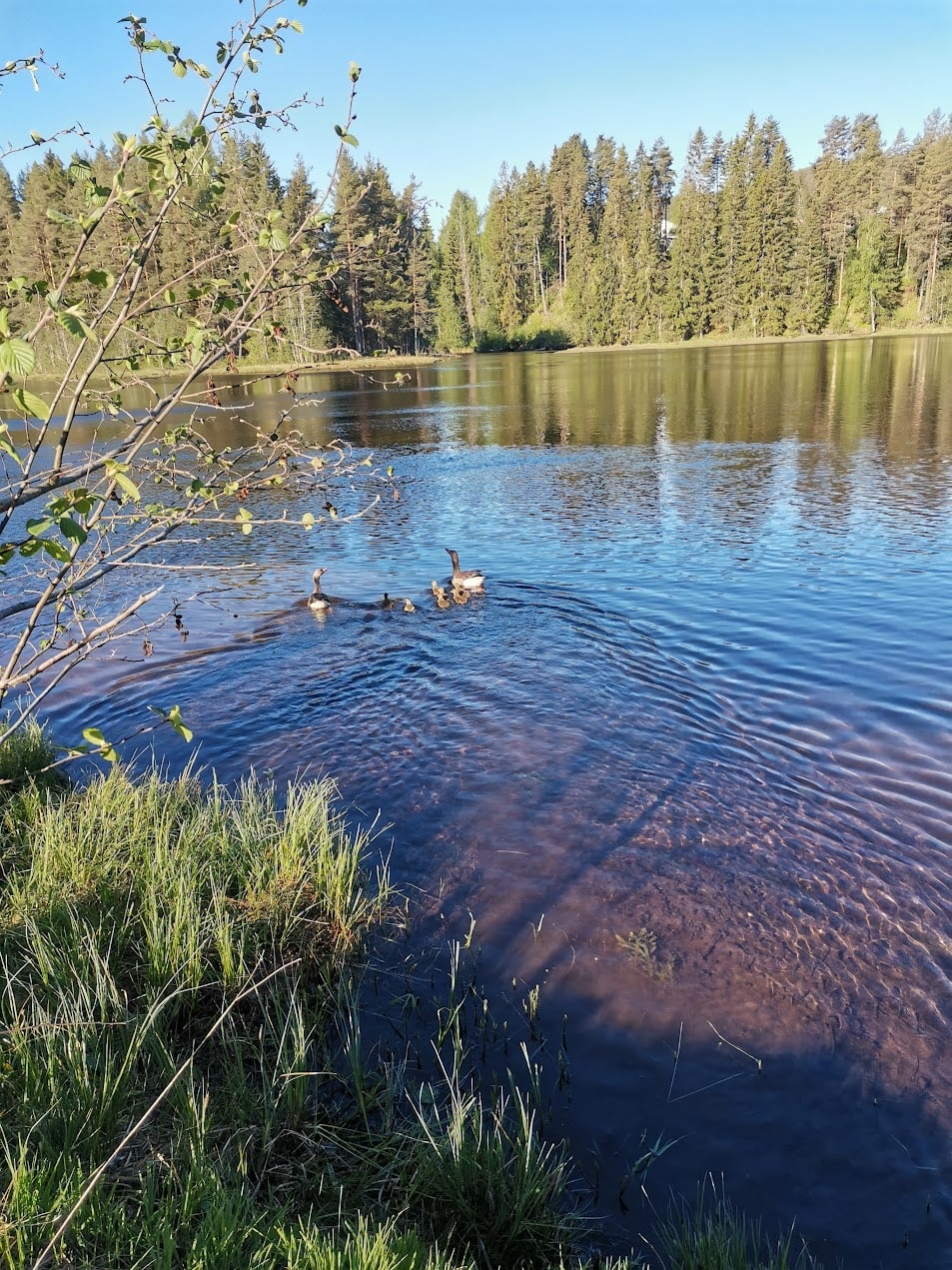 IMG_20250515_075358.jpg