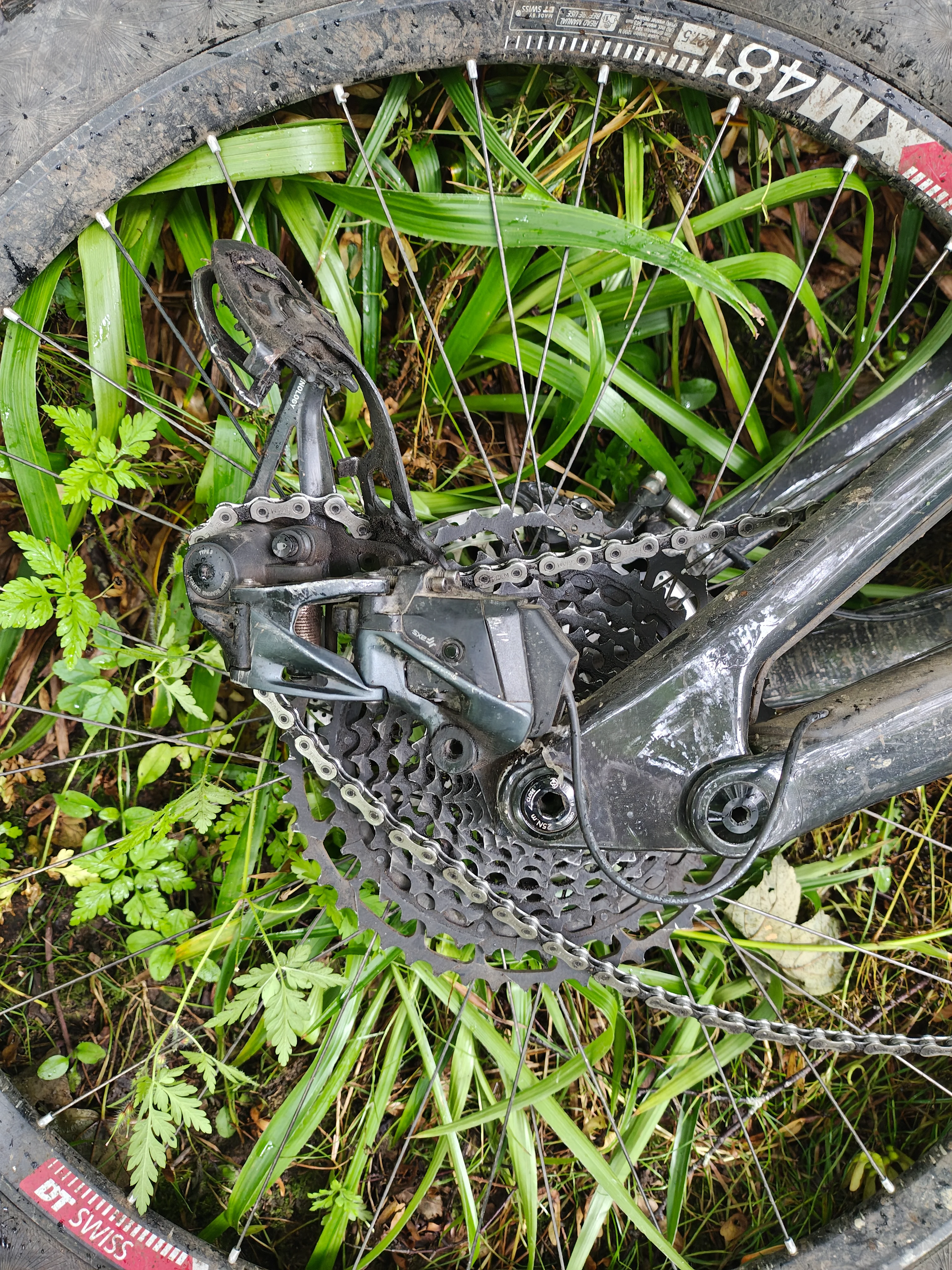 IMG_20260701_131508134_HDR.webp