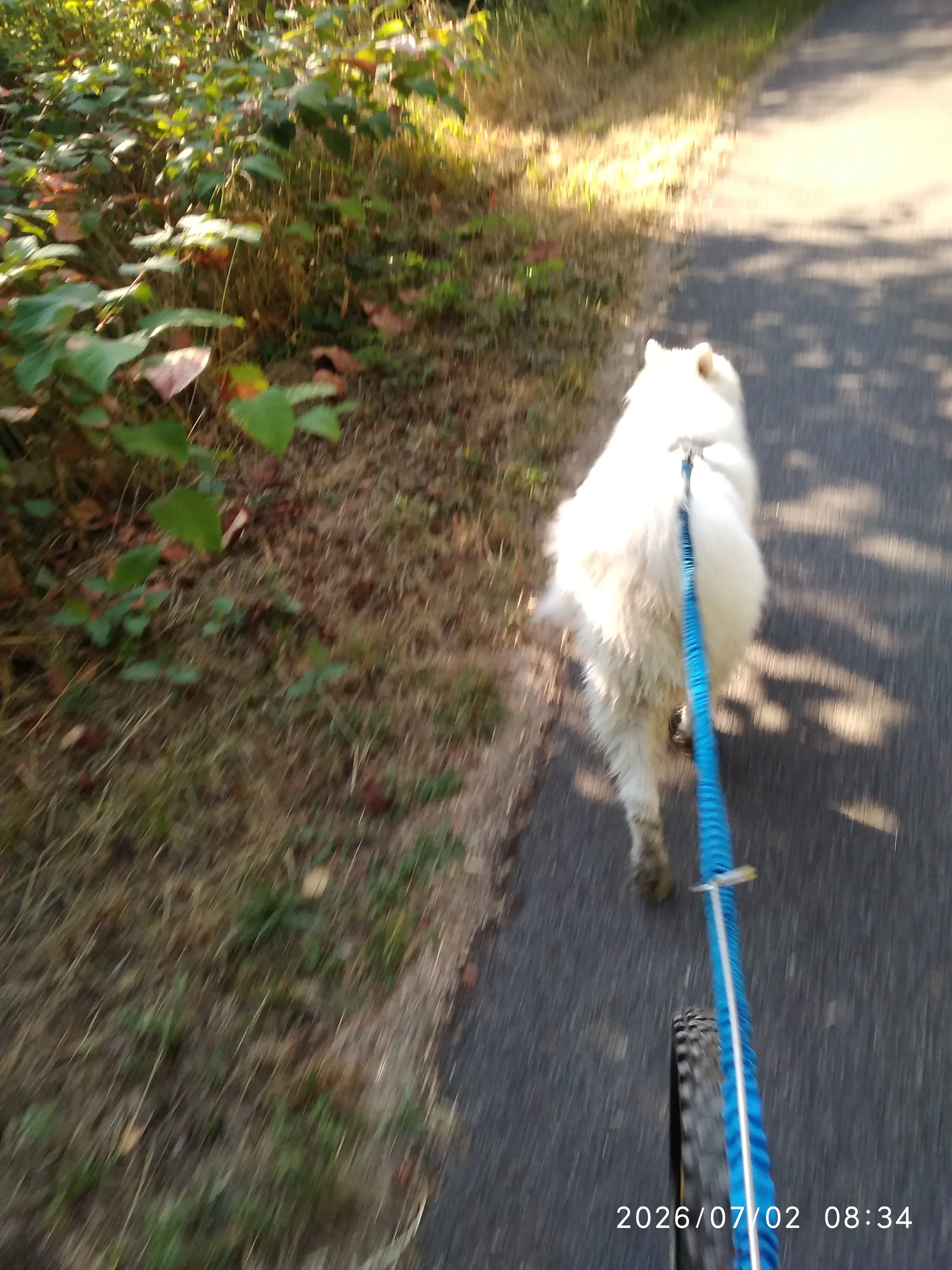 IMG_20260702_083411.webp