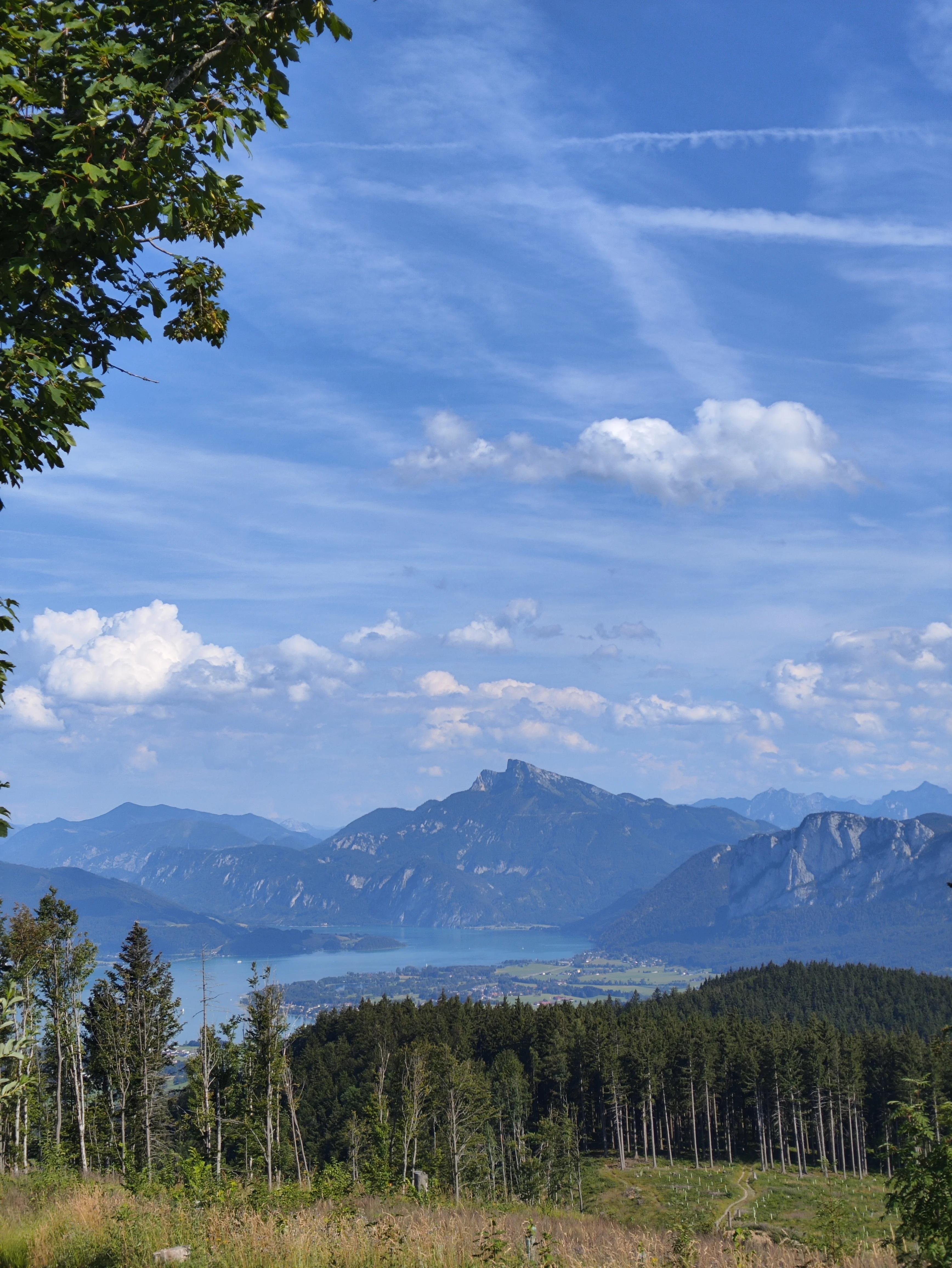 IMG_20260716_170236.webp