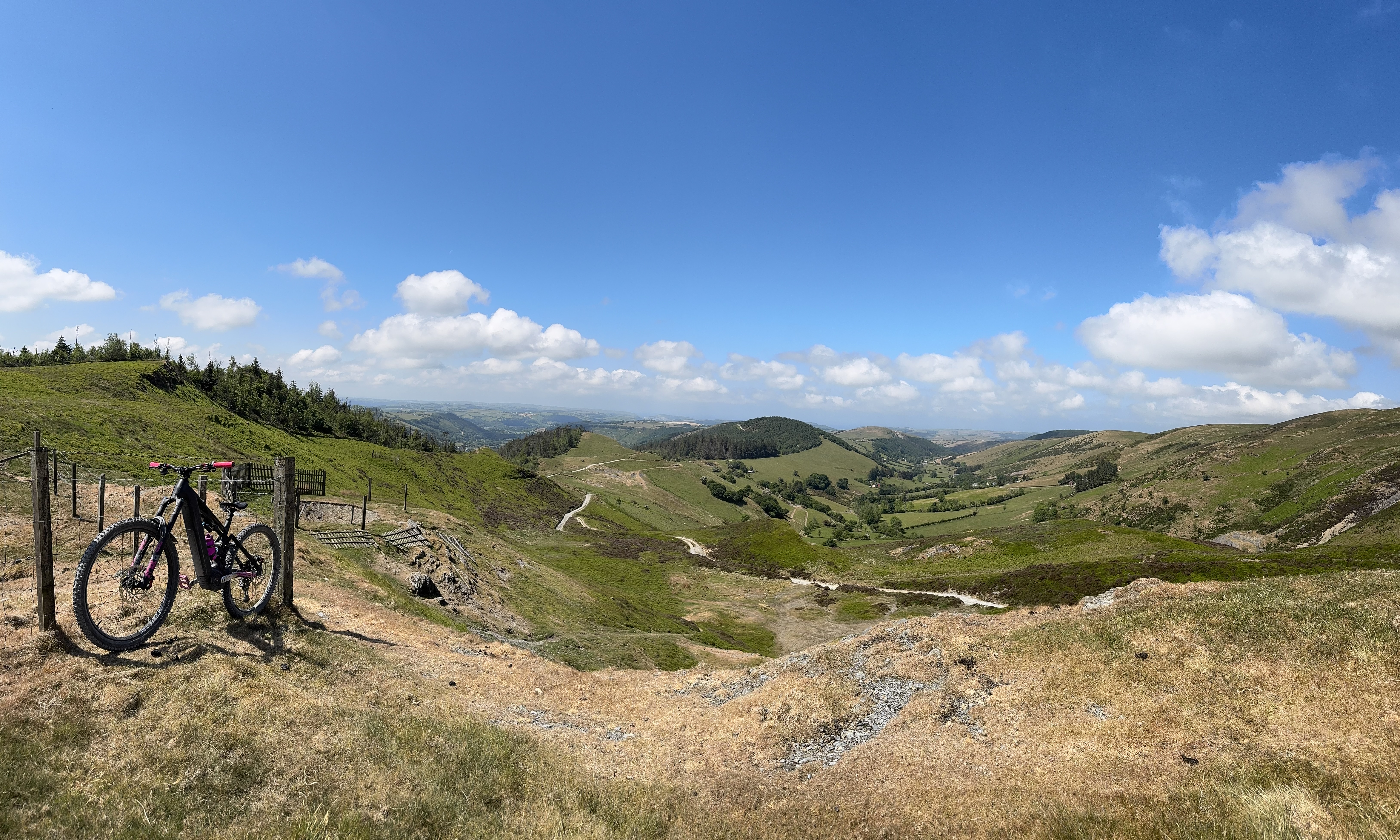 IMG_2166.jpeg