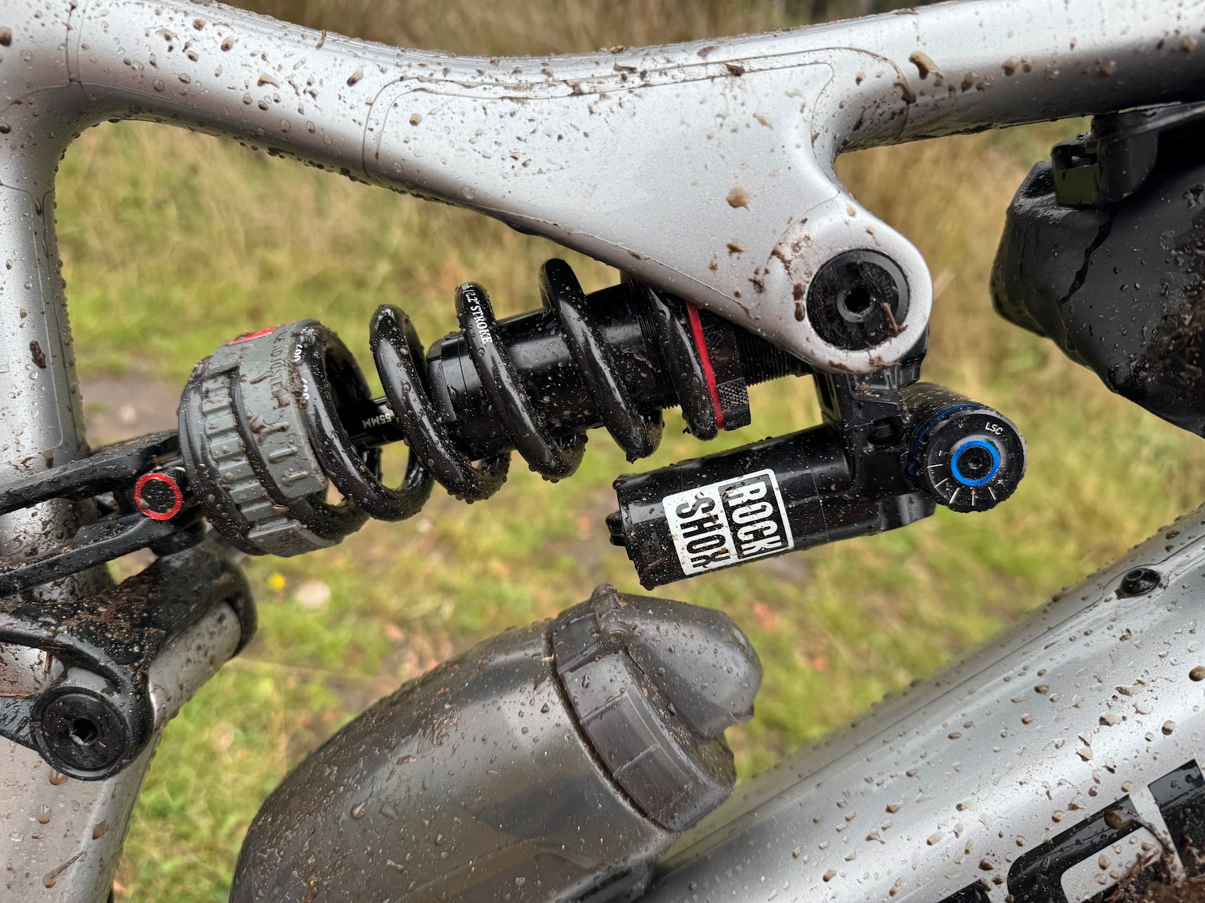 IMG_2176.jpg