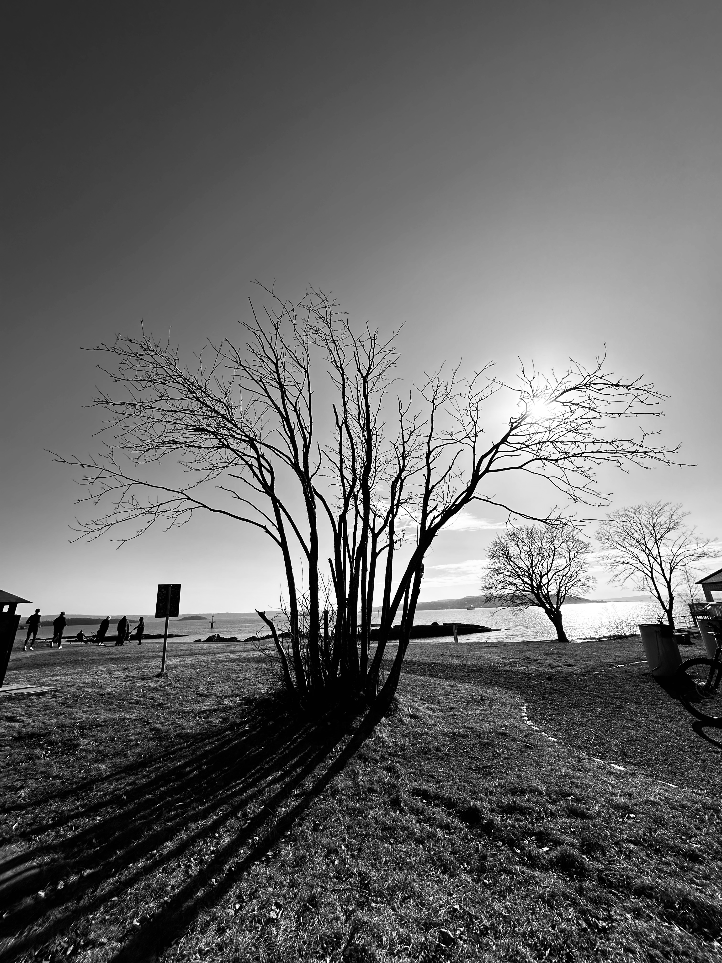 IMG_2199.jpeg