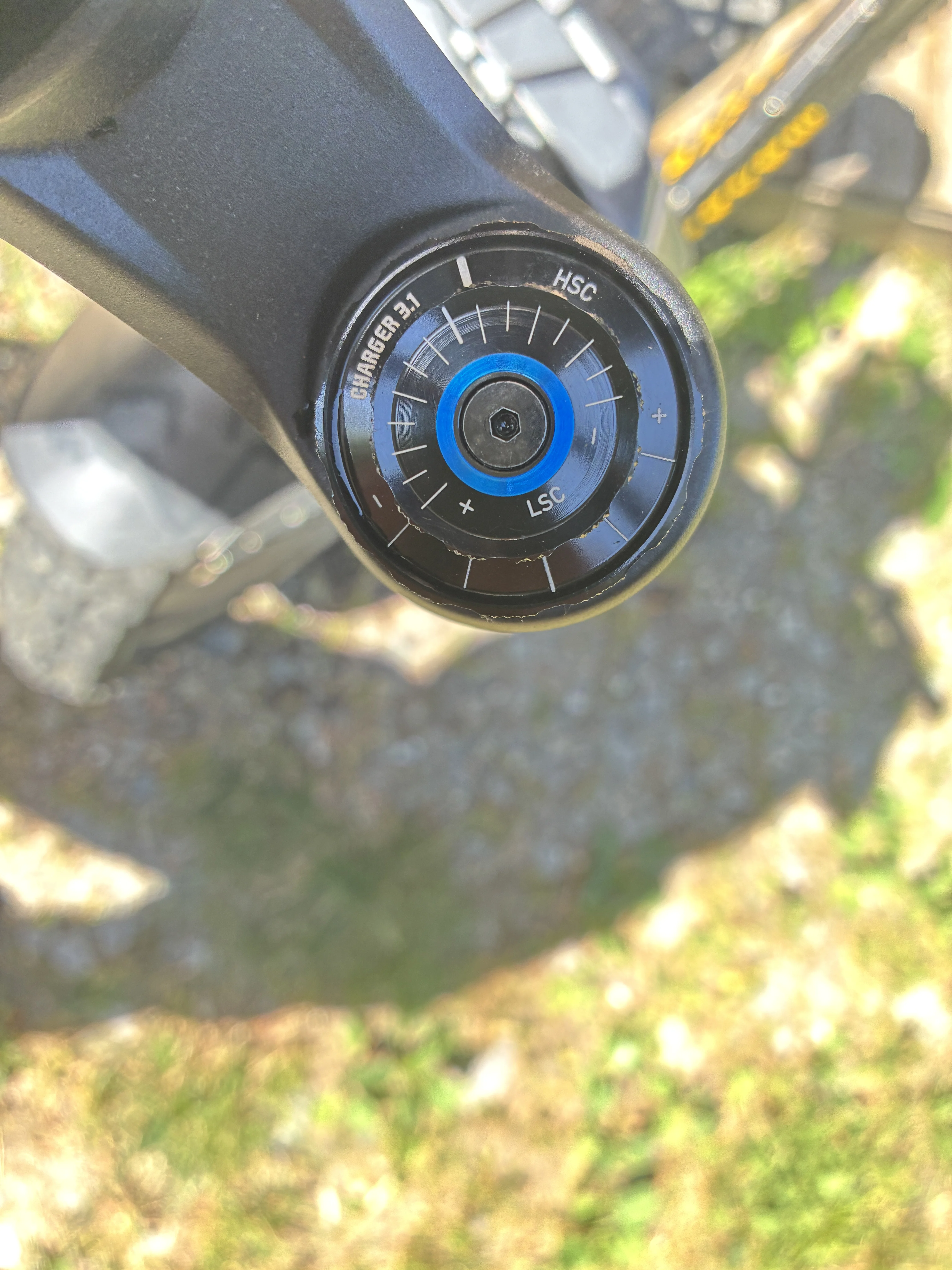 IMG_2208.webp