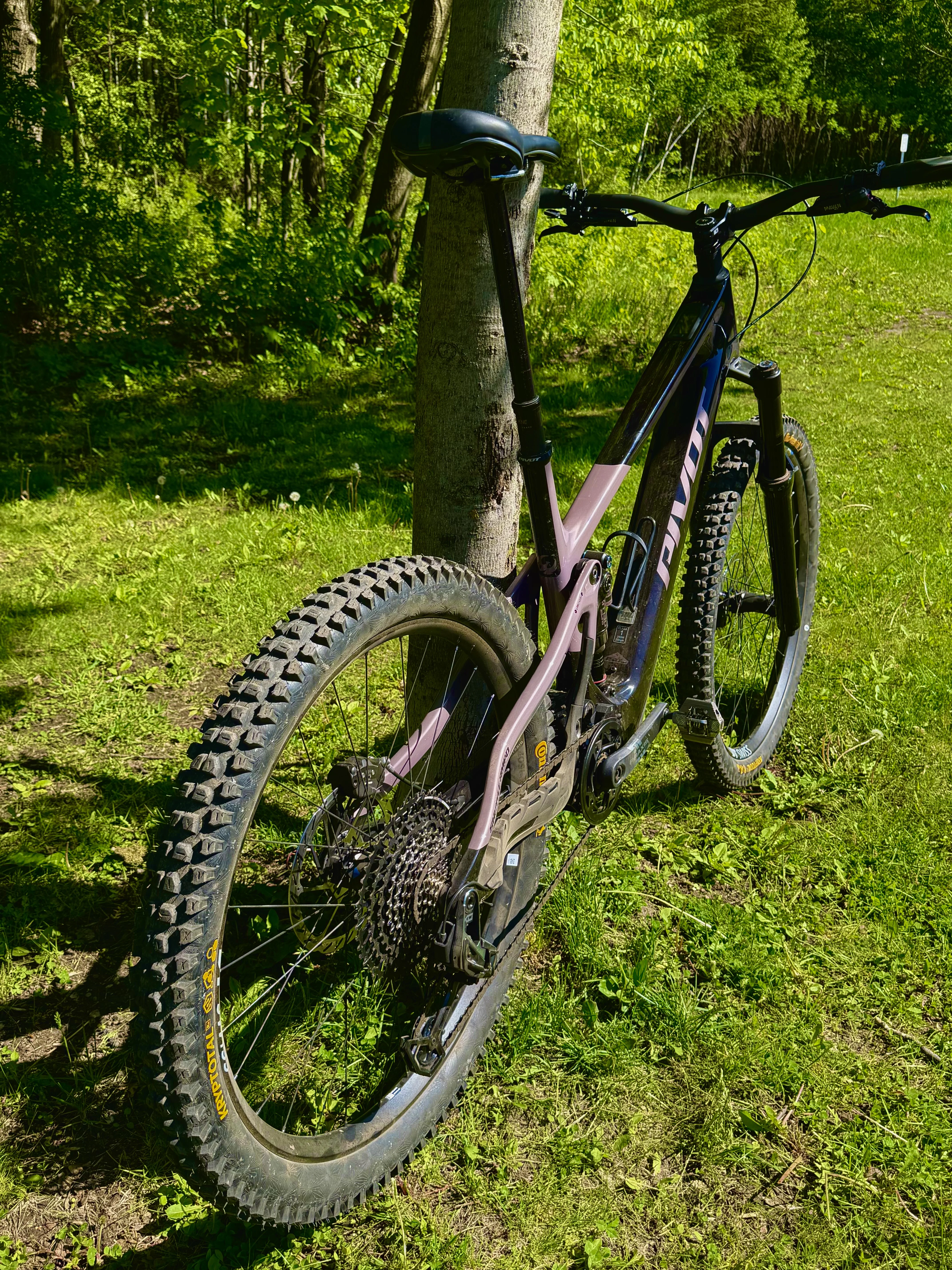 IMG_3661.webp
