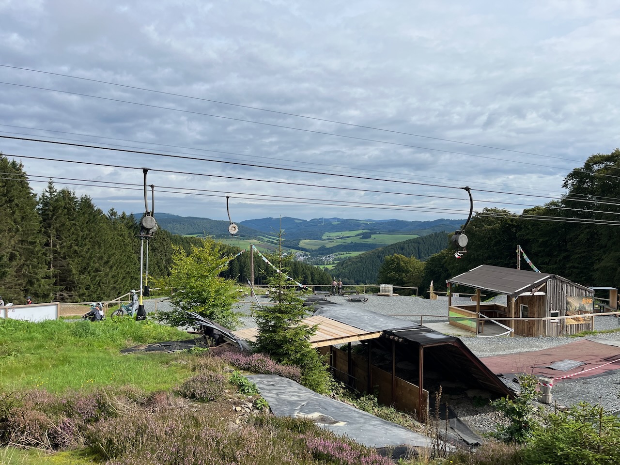 IMG_3974.jpeg