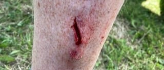 IMG_4141.jpeg