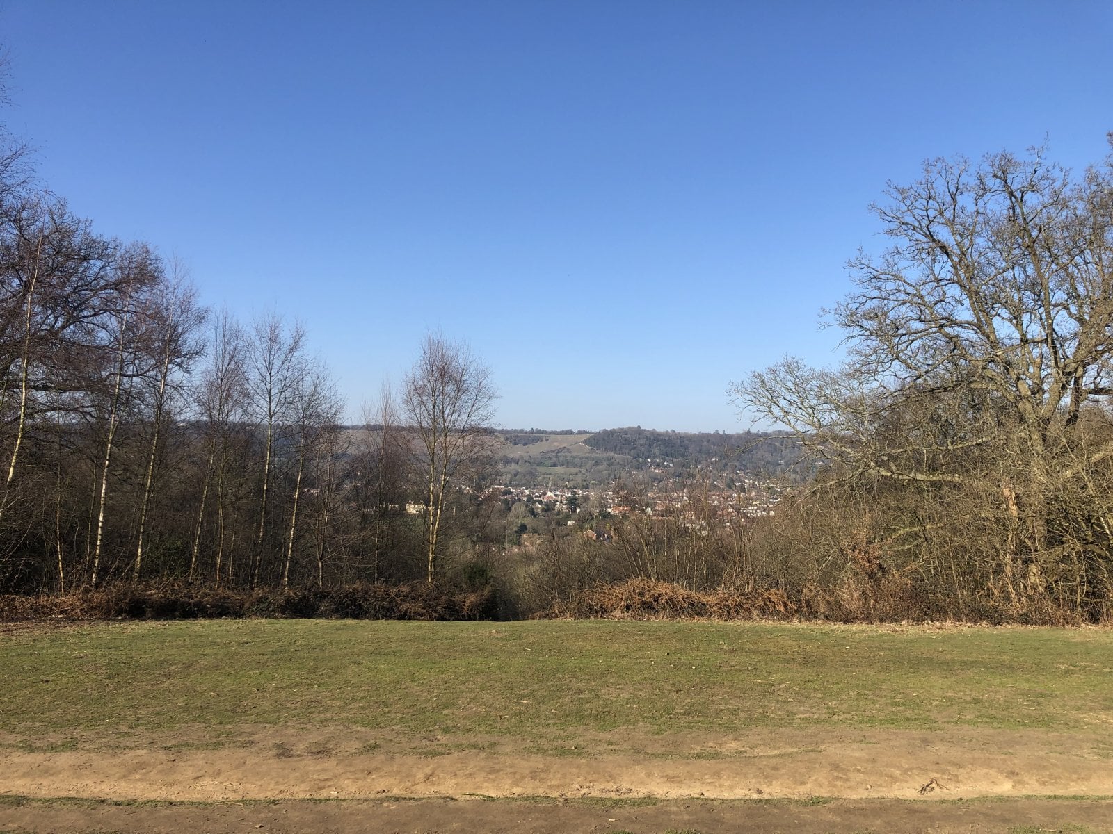 IMG_4979.jpeg