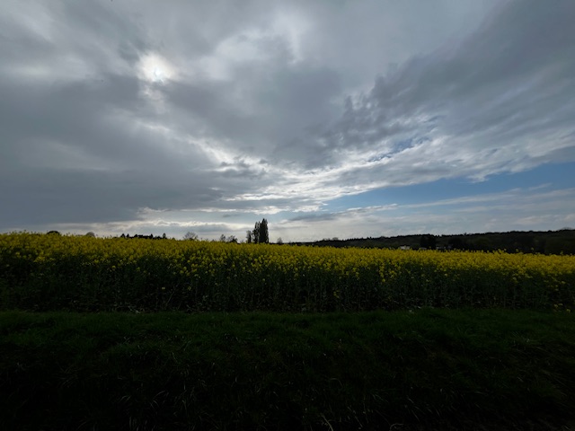 IMG_5425.jpeg