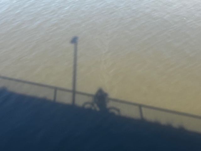 IMG_5472.jpeg