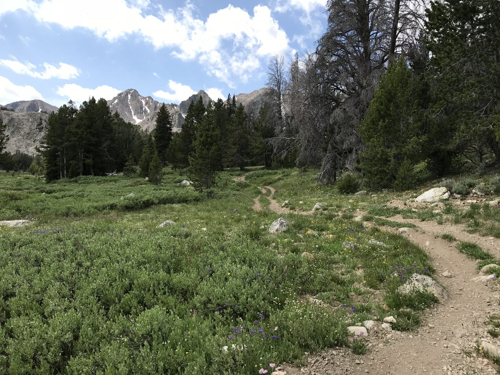 IMG_5506[1].JPG