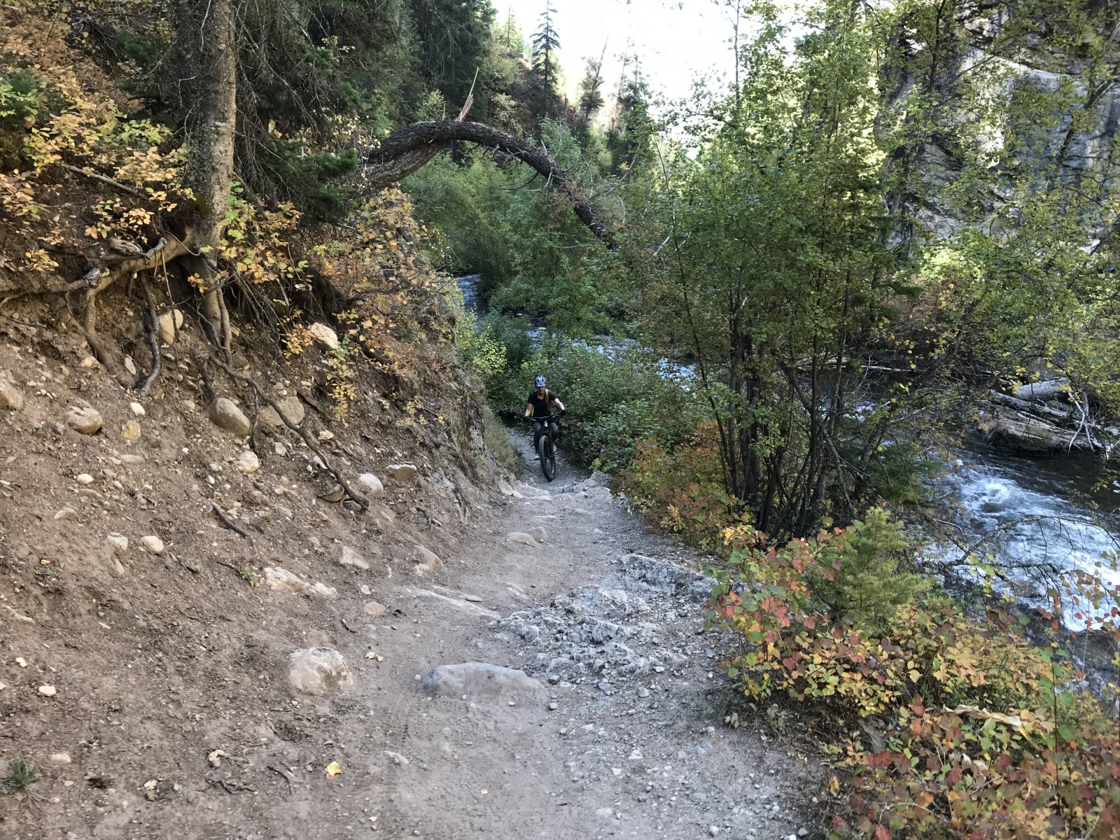 IMG_5972[1].JPG