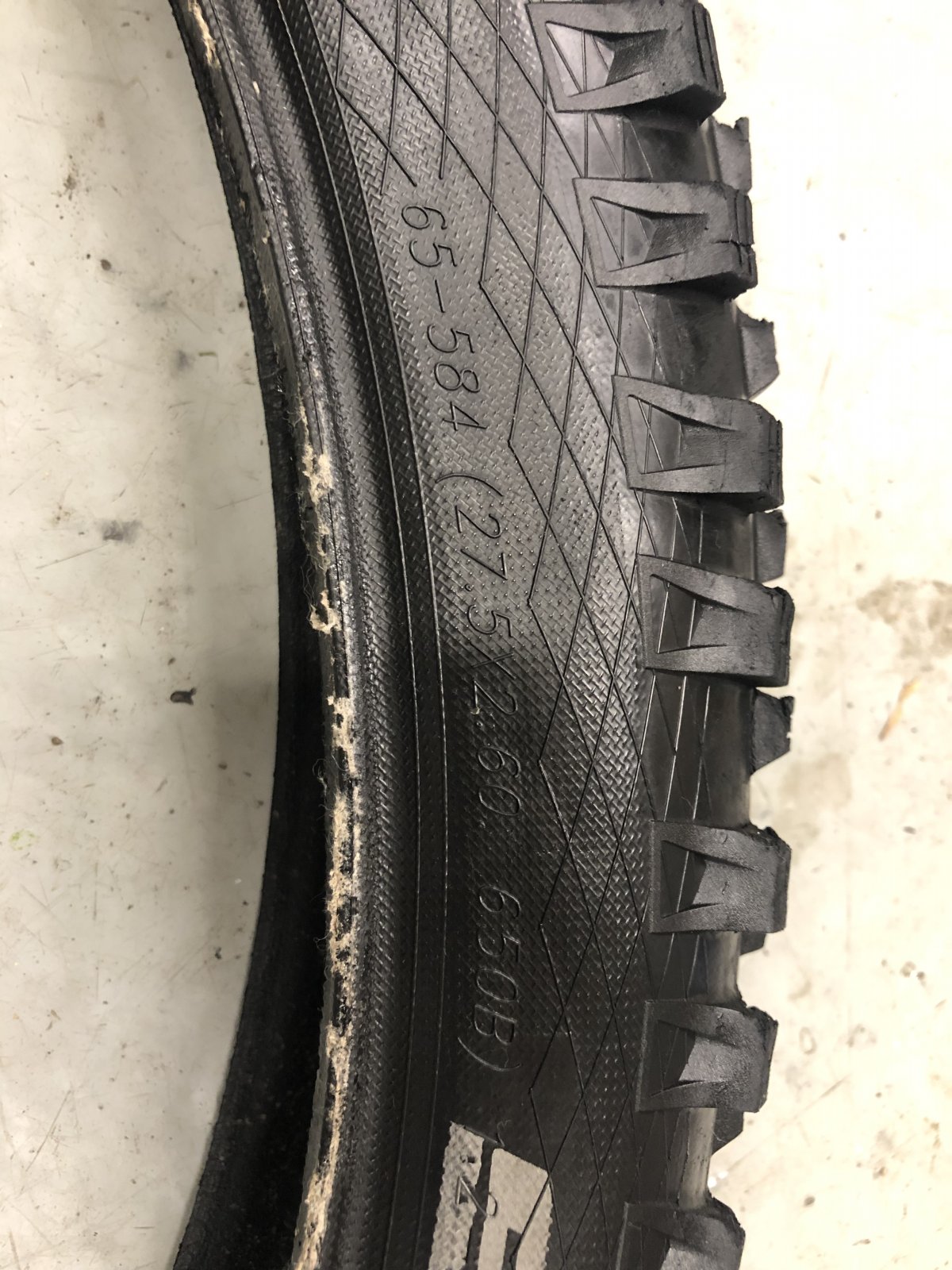 IMG_6496.jpg