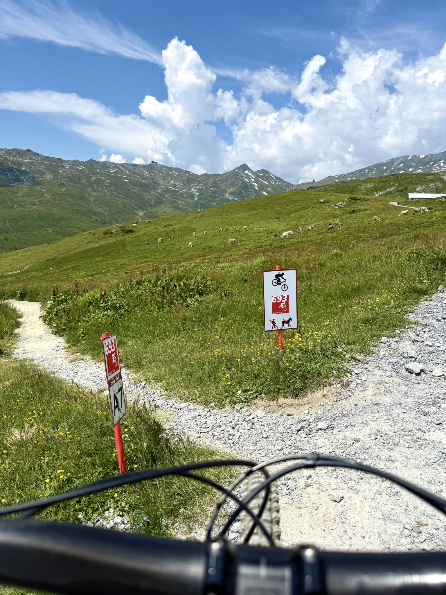 IMG_7652.JPEG
