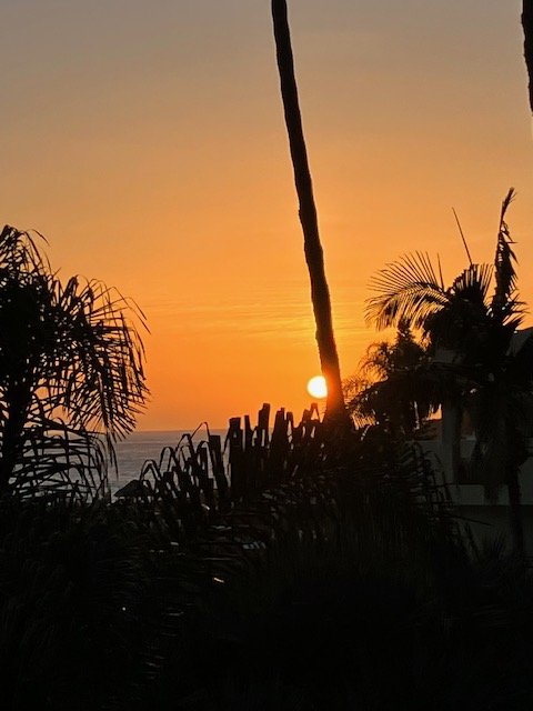IMG_9584.jpg