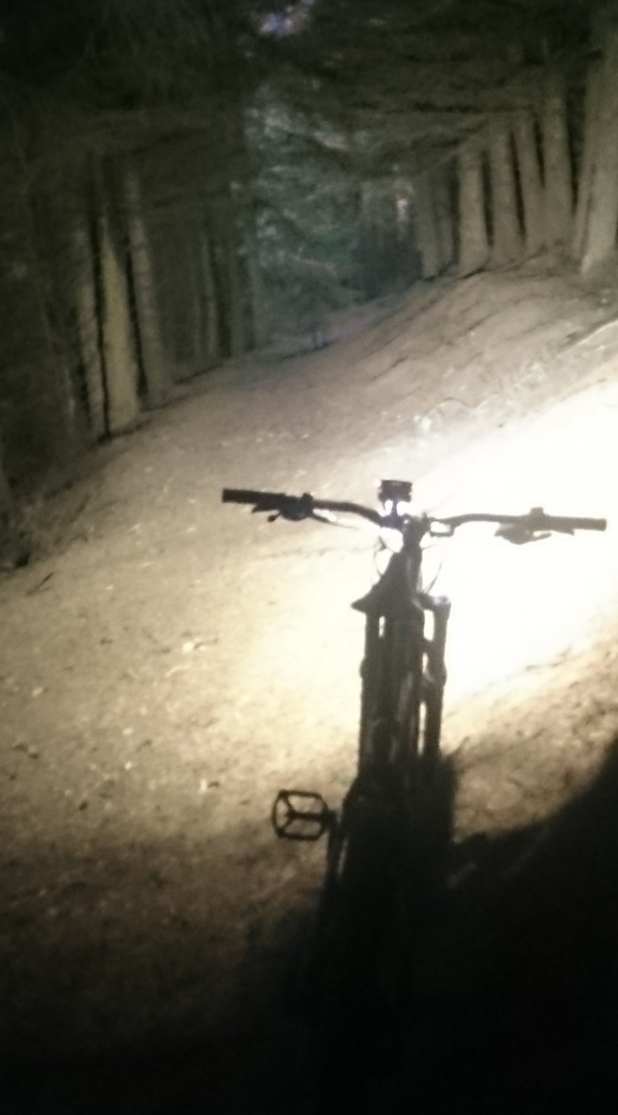 Inners old skool DH track from 96 nationals at night.jpg