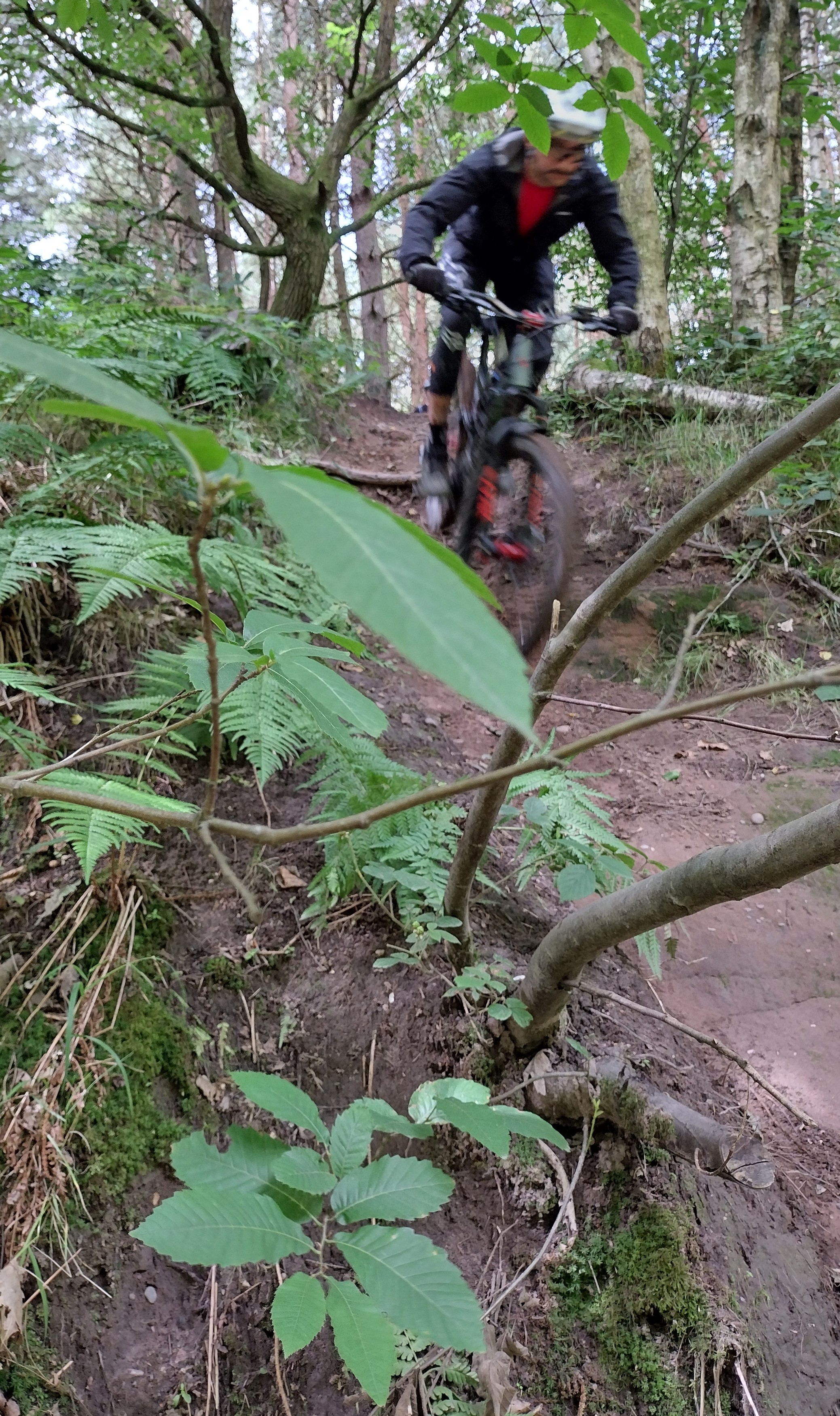 James descending.jpg