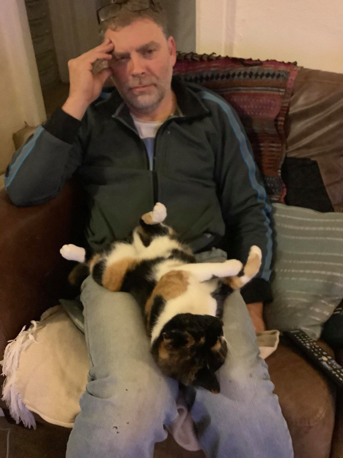 kitteh.jpg