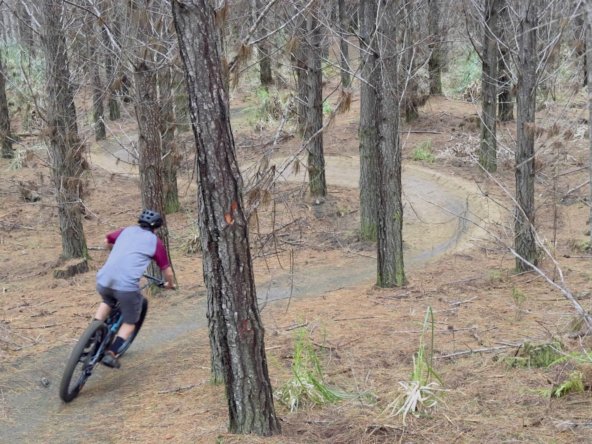 KJ eBiking Woodhill Jan 26.jpg