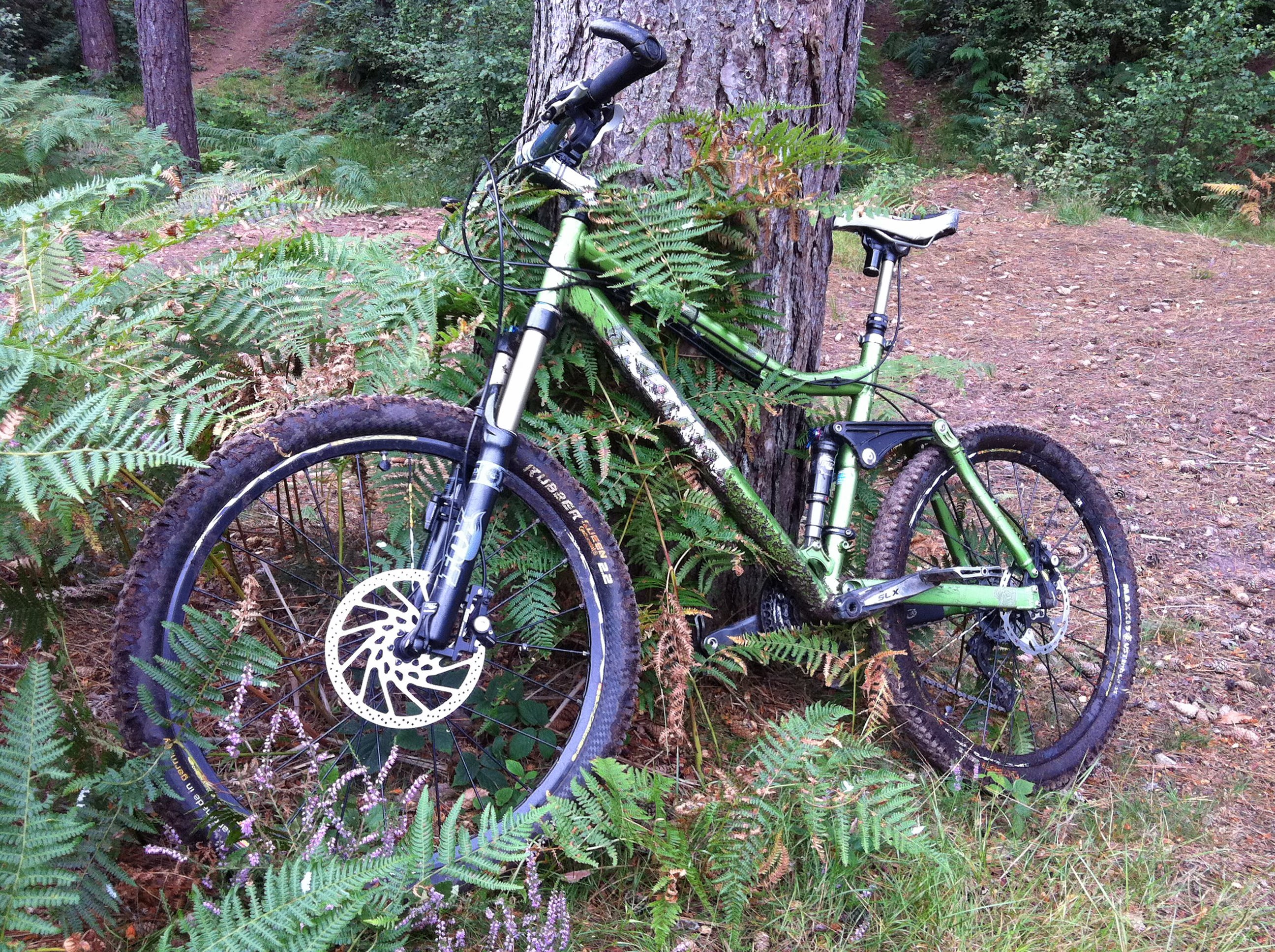 Kona at Pines.JPG