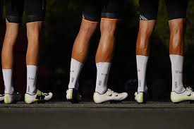 legs.jpg