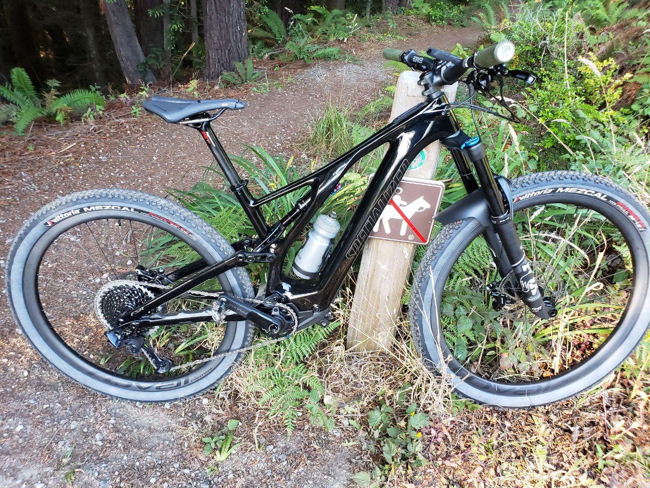 Levo SL 8-13-2020.jpg