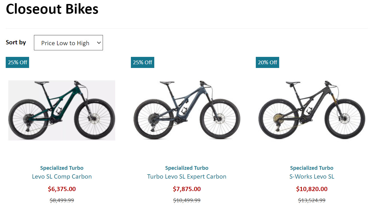 Levo SL Closeout.jpg